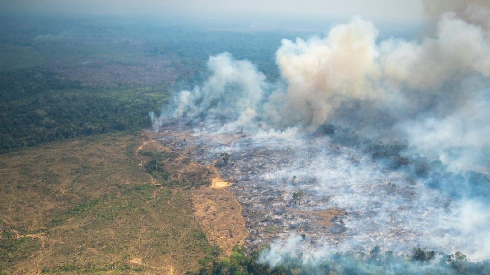 الدخان يتصاعد من حريق غابة في حديقة تشيريبكويت الطبيعية الوطنية، في شمال غرب الأمازون الكولومبي في 4 فبراير 2022
