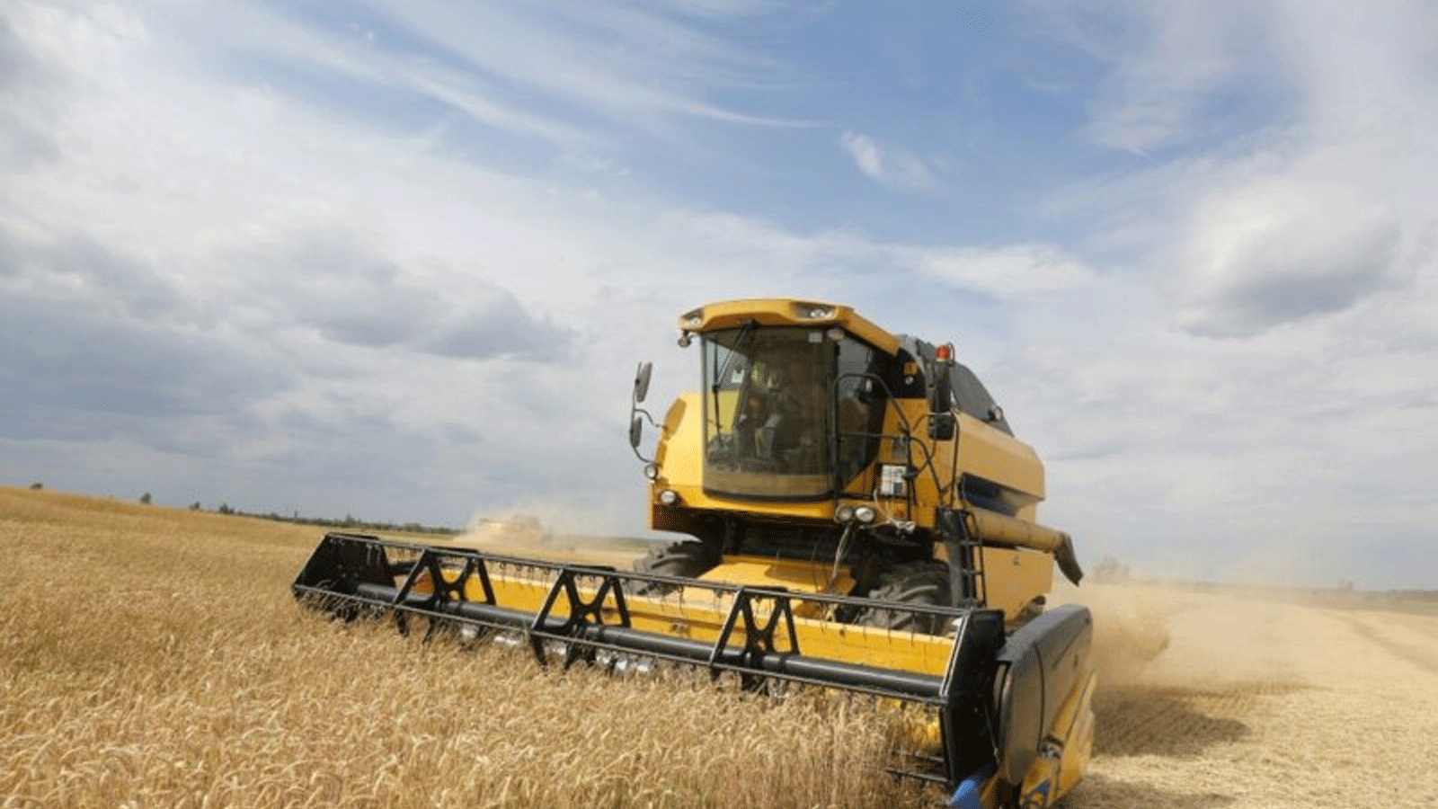 حصاد يجمع القمح من حقل بالقرب من قرية كراسن، في منطقة تشيرنيهيف، على بعد 120 كلم شمال كييف. 5 تموز\ يوليو 2019