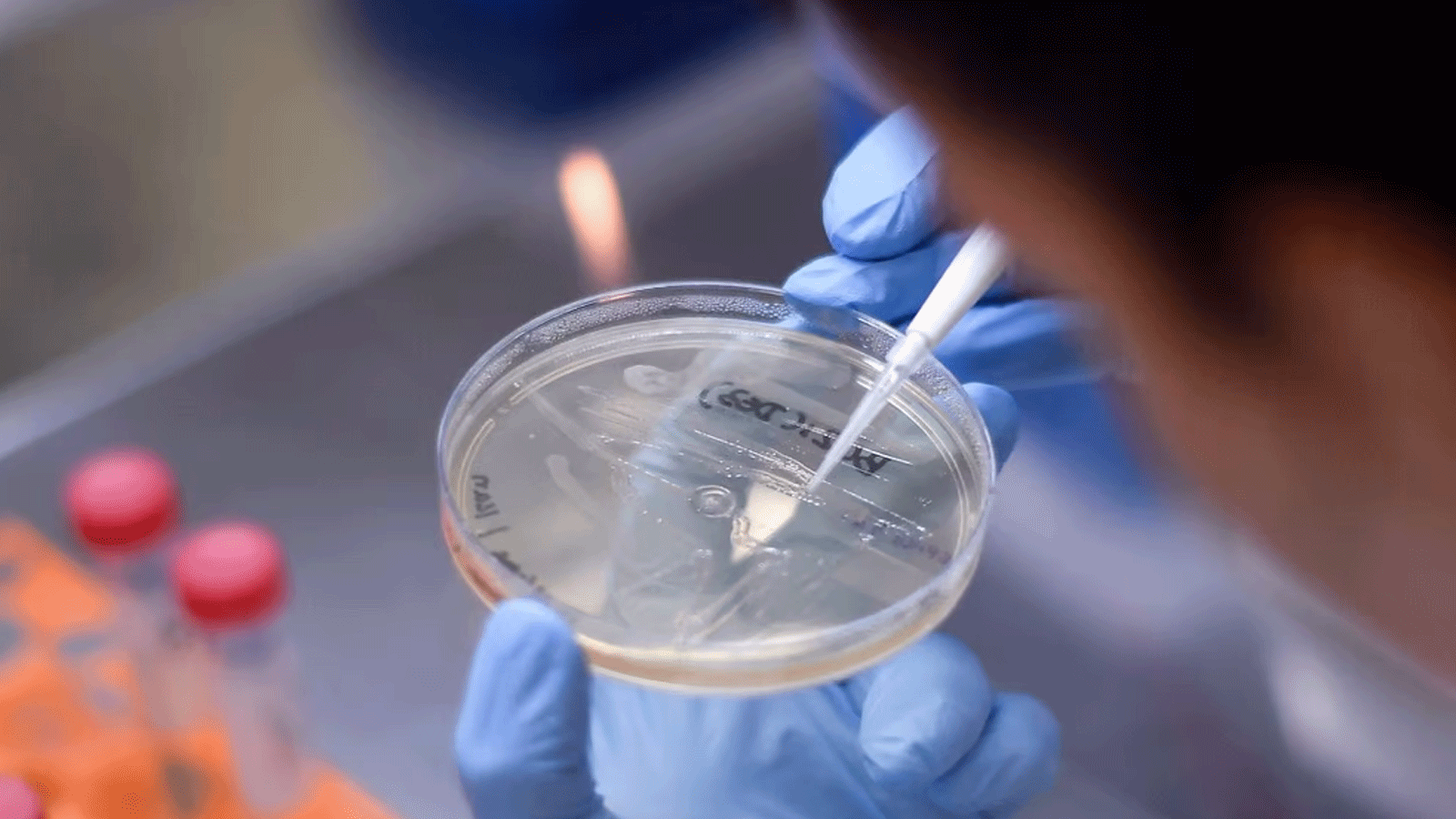 قمة لوضع جهوزية عالية للتمكن من إنتاج لقاحات بسرعة