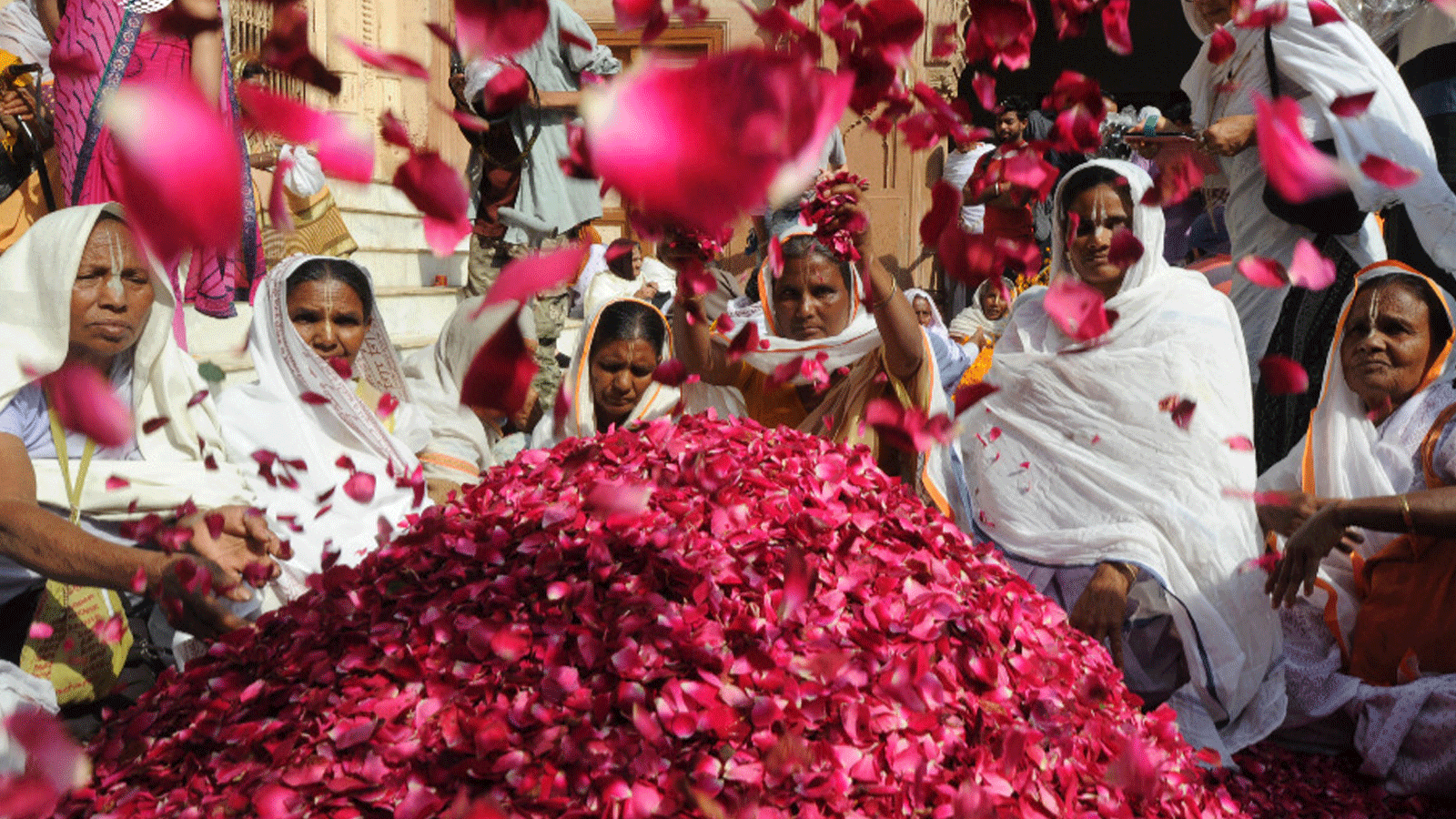 أرامل الهند يشاركون في هولي أو "مهرجان الألوان" في فريندافان في 9 آذار\مارس 2017. تجمعت الأرامل في فناء صغير لمعبد جوفينات حيث يعيشن ويرقصن ويلعبن بالمسحوق الملون للاحتفال بهذه المناسبة