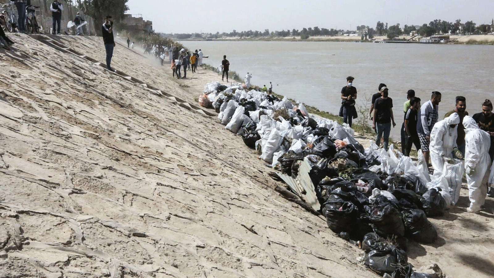 متطوعون عراقيون شبان يشاركون في حملة تنظيف على ضفاف نهر دجلة