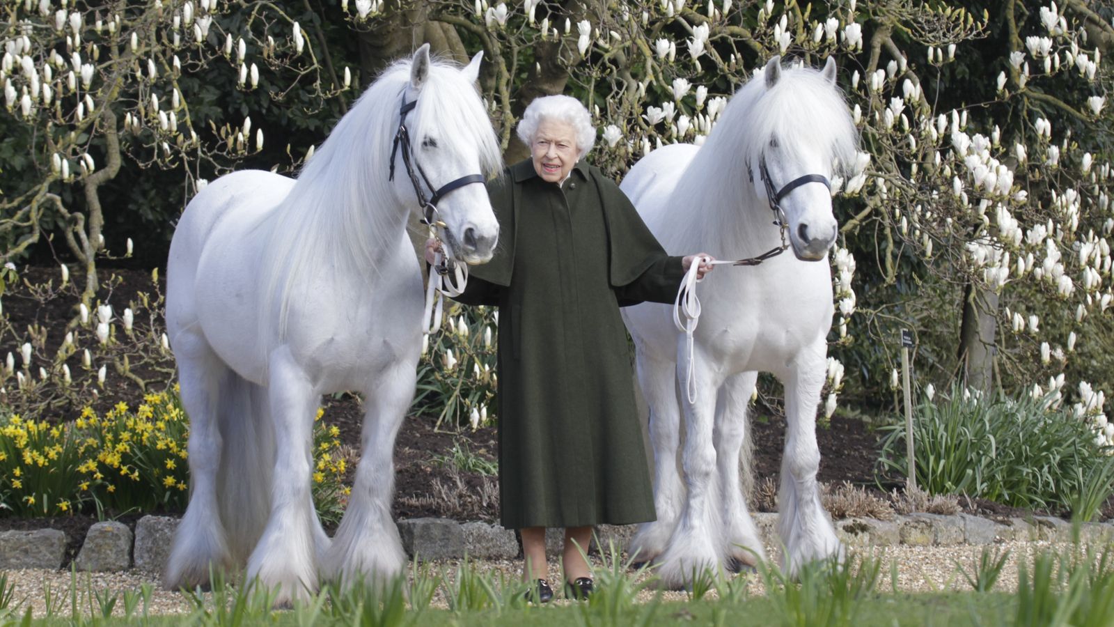 صورة الملكة هدية من المعرض الملكي للخيول 