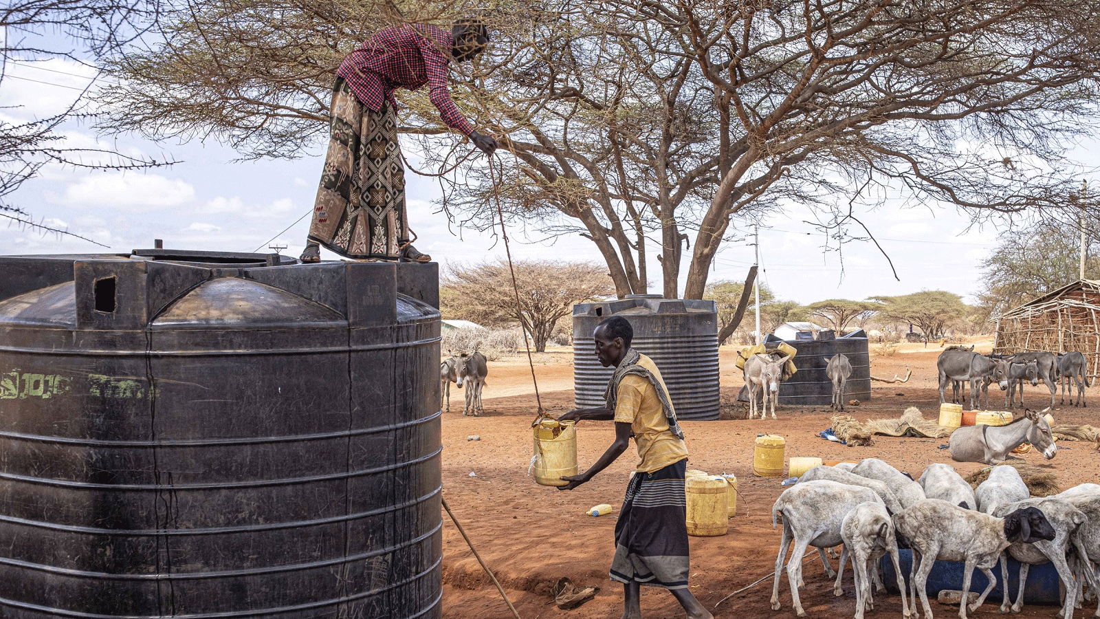 تجميع المياه من صهريج تخزين في تقاطع ساكا، غاريسا، كينيا. حيث أدت الآثار المجتمعة لخسائر المحاصيل والمراعي الناجمة عن الجراد الصحراوي، وتدابير التخفيف المرتبطة بـ COVID-19، والمواسم المطيرة المتتالية الأقل من المتوسط إلى تعريض المجتمعات المحلية في الأراضي القاحلة وشبه القاحلة في إثيوبيا وكينيا والصومال لخطر انعدام الأمن الغذائي الشديد وفقدان سبل العيش.