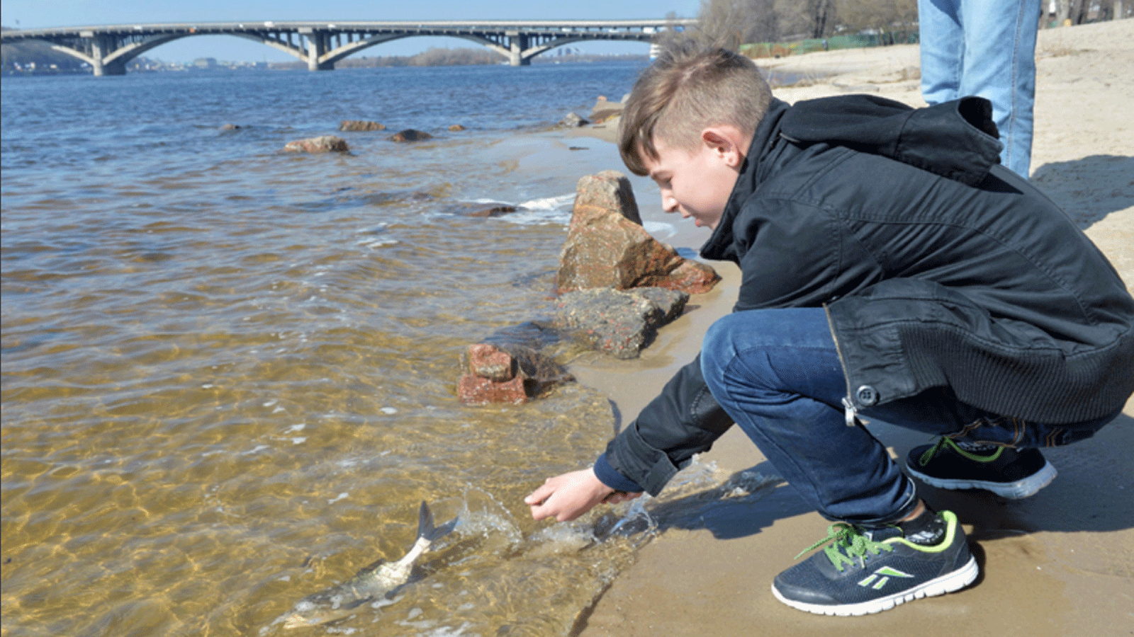 طفل يطلق سمكة شبوط خلال حدث لتخزين الأسماك في نهر دنيبر ، المعروف أيضًا باسم دنيبرو، الذي نظمه صندوق حماية البيئة الأوكراني في 22 آذار\مارس 2017 في كييف، للاحتفال باليوم العالمي للمياه.