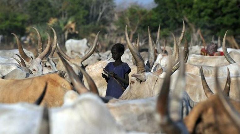 صورة من الأرشيف لراعي ماشية في السودان