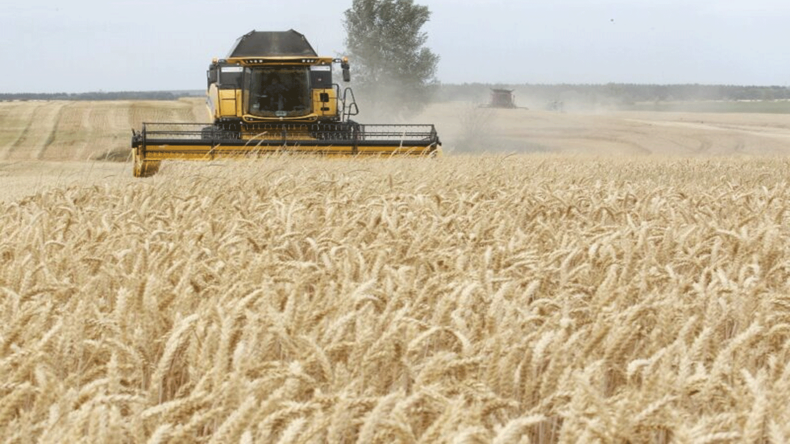 حصاد محصول القمح بالقرب من قرية كراسن في إقليم تشيرنيهيف، 120 كيلومترًا شمال كييف في 5 تموز\يوليو 2019. أنتجت أوكرانيا ما يقرب من 65 مليون طن من الحبوب الشتوية في 2020-2021، وفقًا لوزارة الاقتصاد.