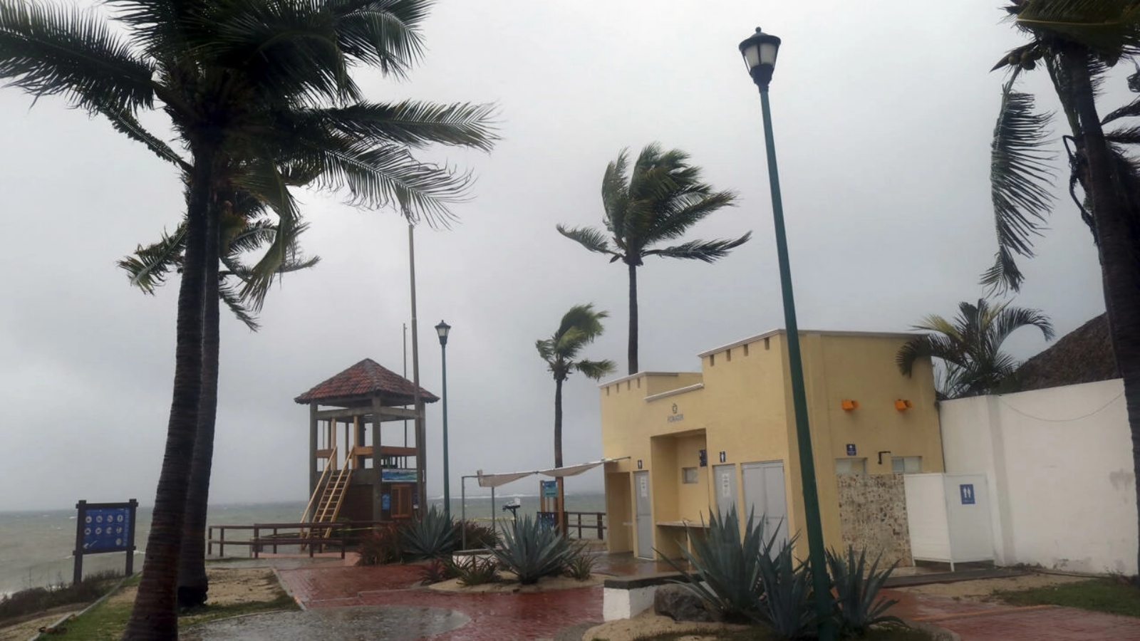 الرياح تعصف بأشجار النخيل في منطقة واتولكو في جنوب المكسيك مع اقتراب الإعاصار أغاتا 