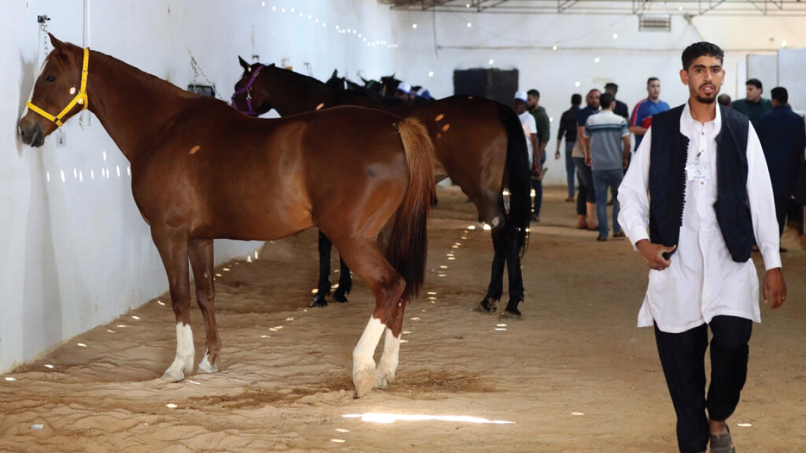 من مزاد للخيول أقيم في مايو 2022 في مصراتة في ليبيا