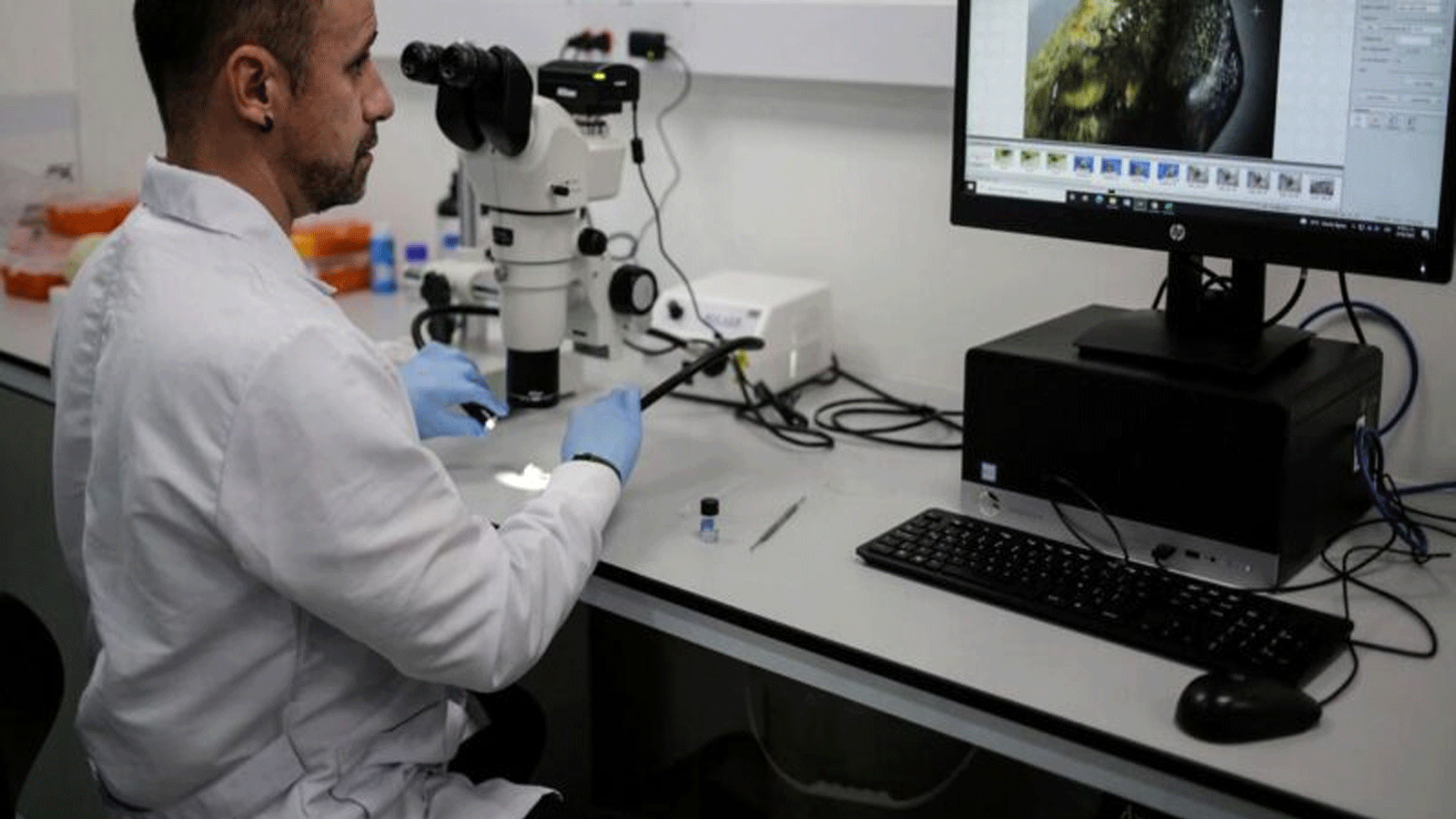 عالم الحفريات إدوين كادينا يستخدم مجهرًا لمراقبة أحفورة سمكة قرش في بوغوتا، في 9 حزيران\ يونيو 2022.