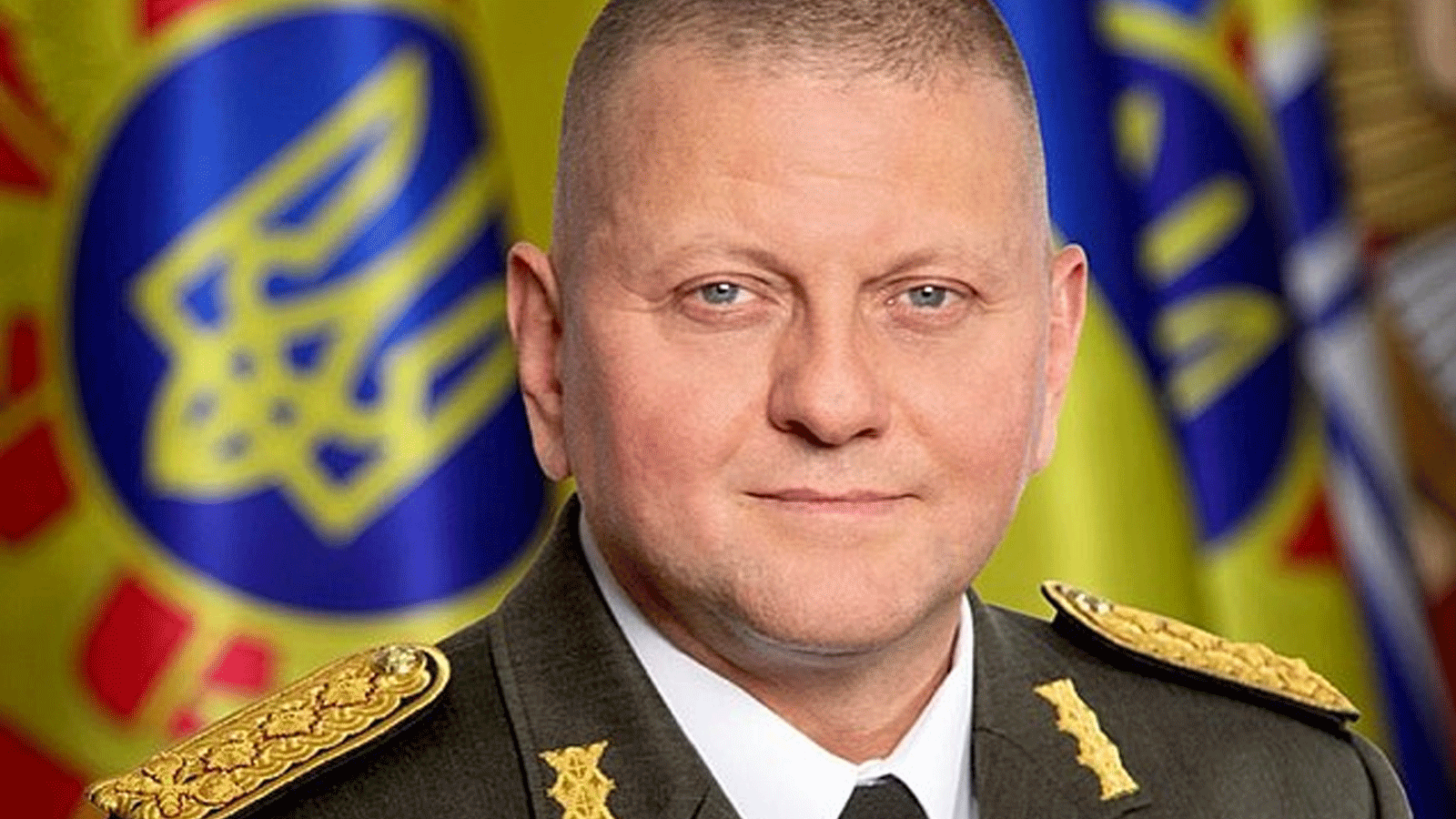  القائد العام للقوات المسلحة الأوكرانية فاليري زالوجني(فيسبوك)