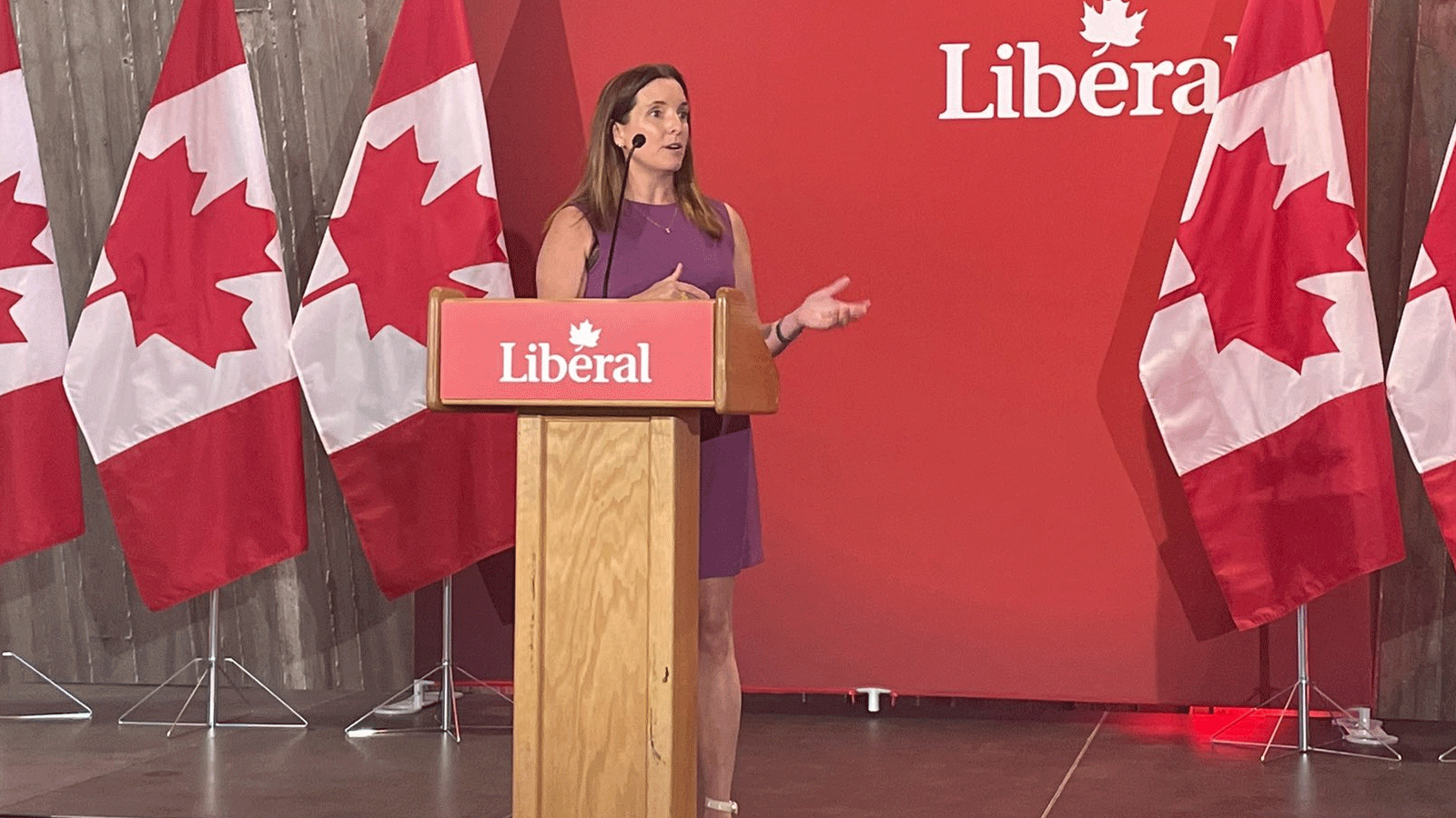  سوزان كوان رئيسة الحزب الليبرالي الكندي المشمولة بقائمة المحظورين من دخول روسيا