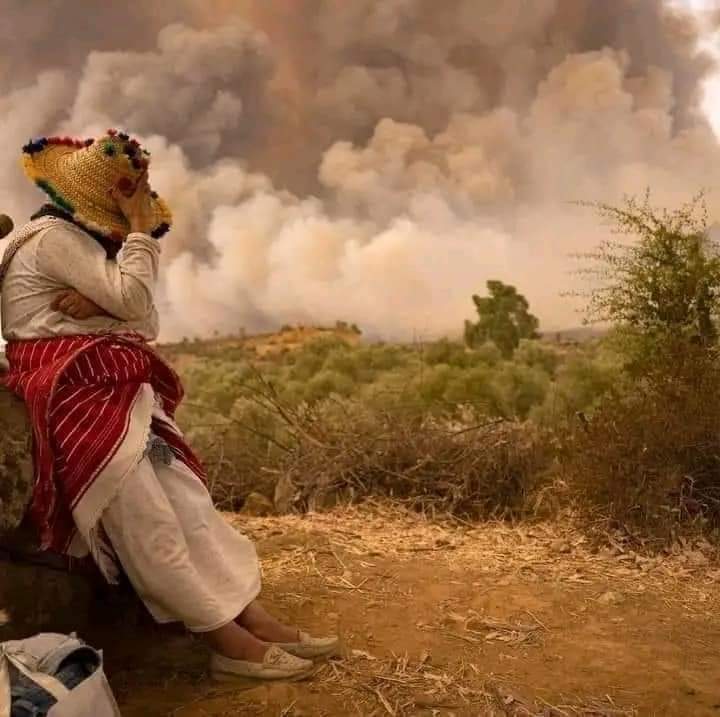 من مشاهد الحرائق المشتعلة بشمال المغرب