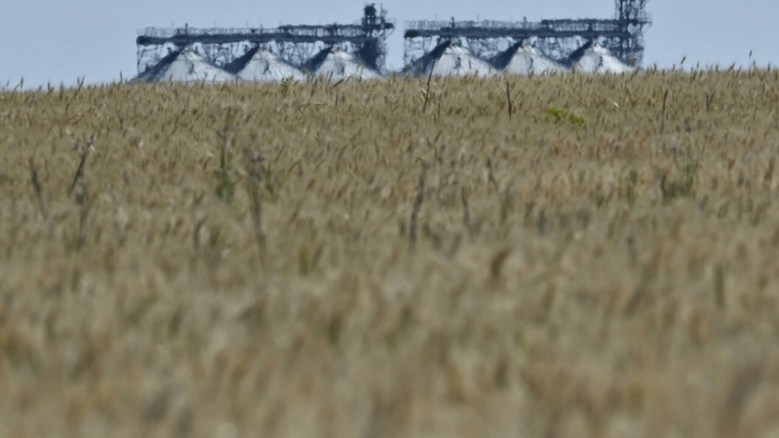 حصاد القمح في أحد حقول منطقة دونباس بشرق أوكرانيا في الأول من يوليو 2022