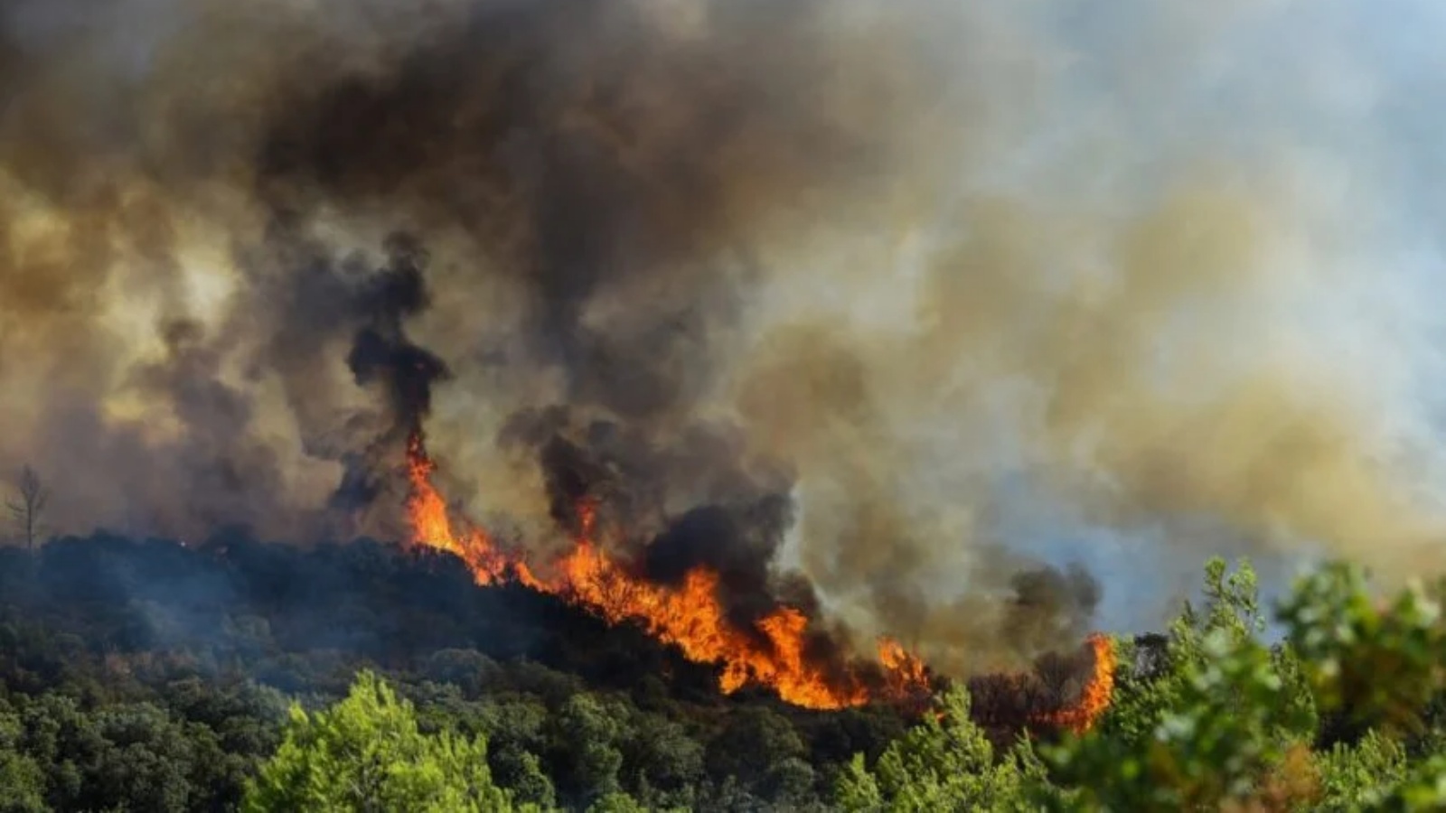 التقطت هذه الصورة في 26 يوليو 2022، وتُظهر ألسنة اللهب تتصاعد من حريق غابة في جنوب فرنسا