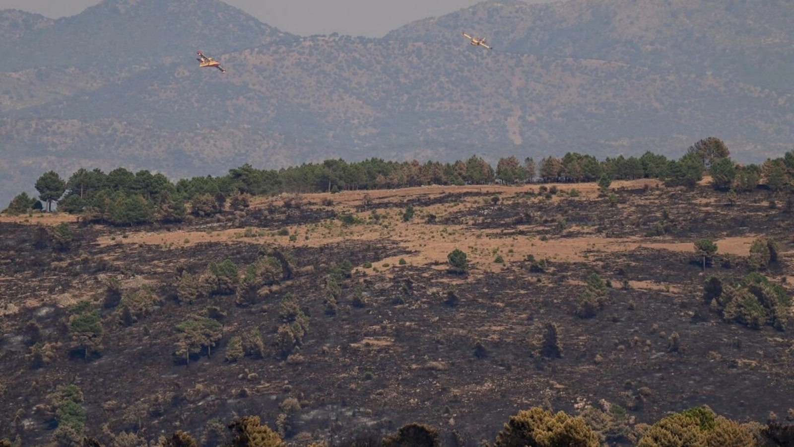 تم فقدان ما يقرب من 200000 هكتار (495000 فدان) من الغابات في إسبانيا بسبب الحرائق حتى الآن هذا العام ، أكثر من أي دولة أوروبية أخرى