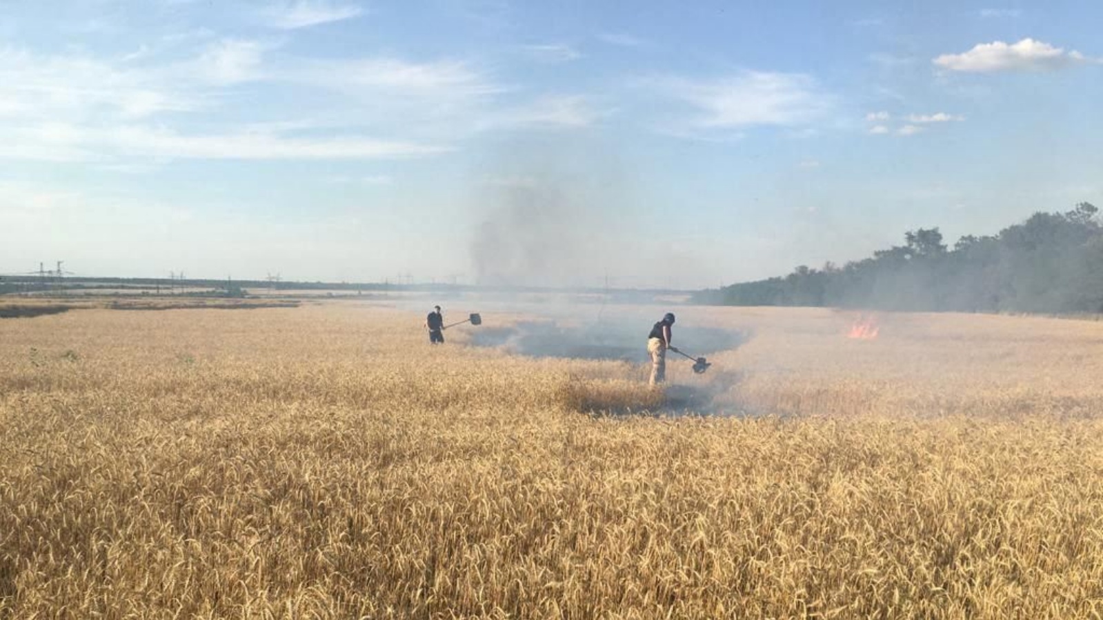 حصاد القمح في أوكرانيا (توضيحية)