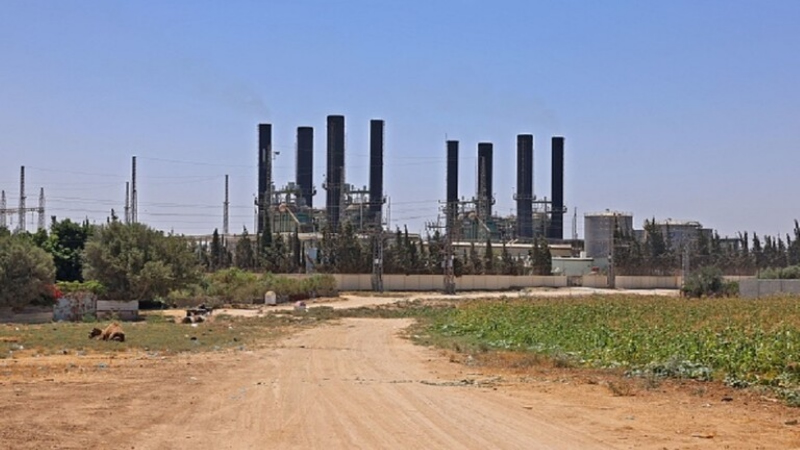 محطة الكهرباء في غزة