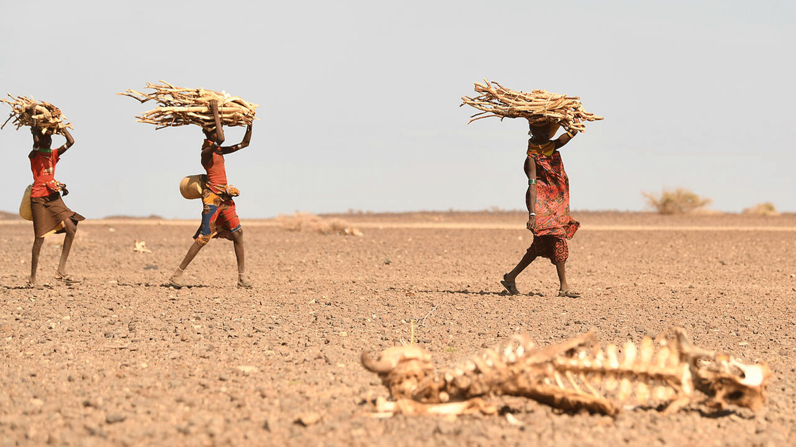 نزوح مليون شخص في الصومال جرّاء الجفاف