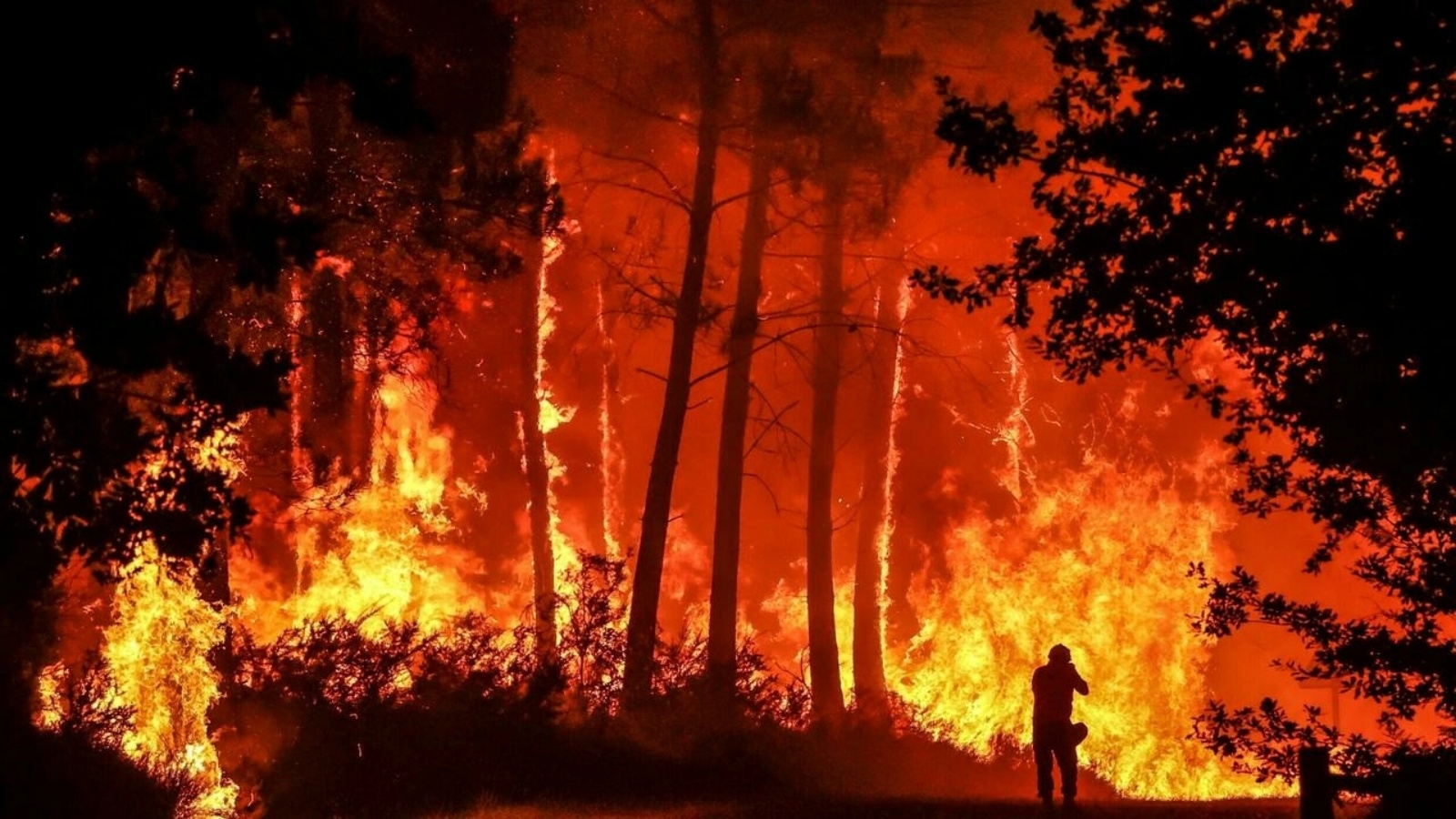 حريق غابات بالقرب من بيلان-بيلييه في جنوب غرب فرنسا في 11 أغسطس 2022