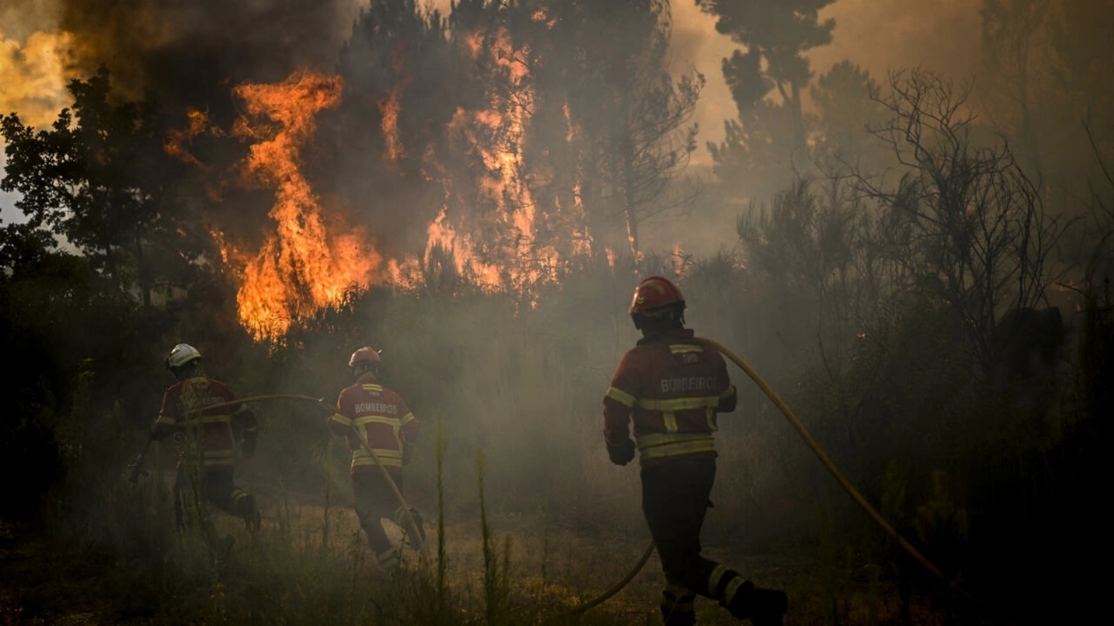 حريق ضخم في وسط البرتغال في محمية طبيعية مدرجة على تراث اليونسكو في 12 أغسطس 2022