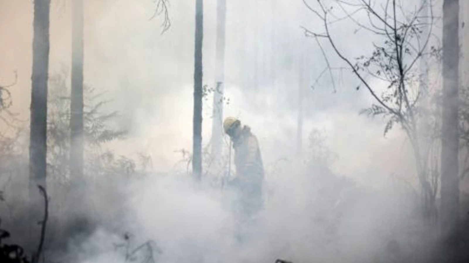 رجل إطفاء يكافح حريقاً في بيلين بيليت، جنوب غرب فرنسا، في 13 أغسطس 2022