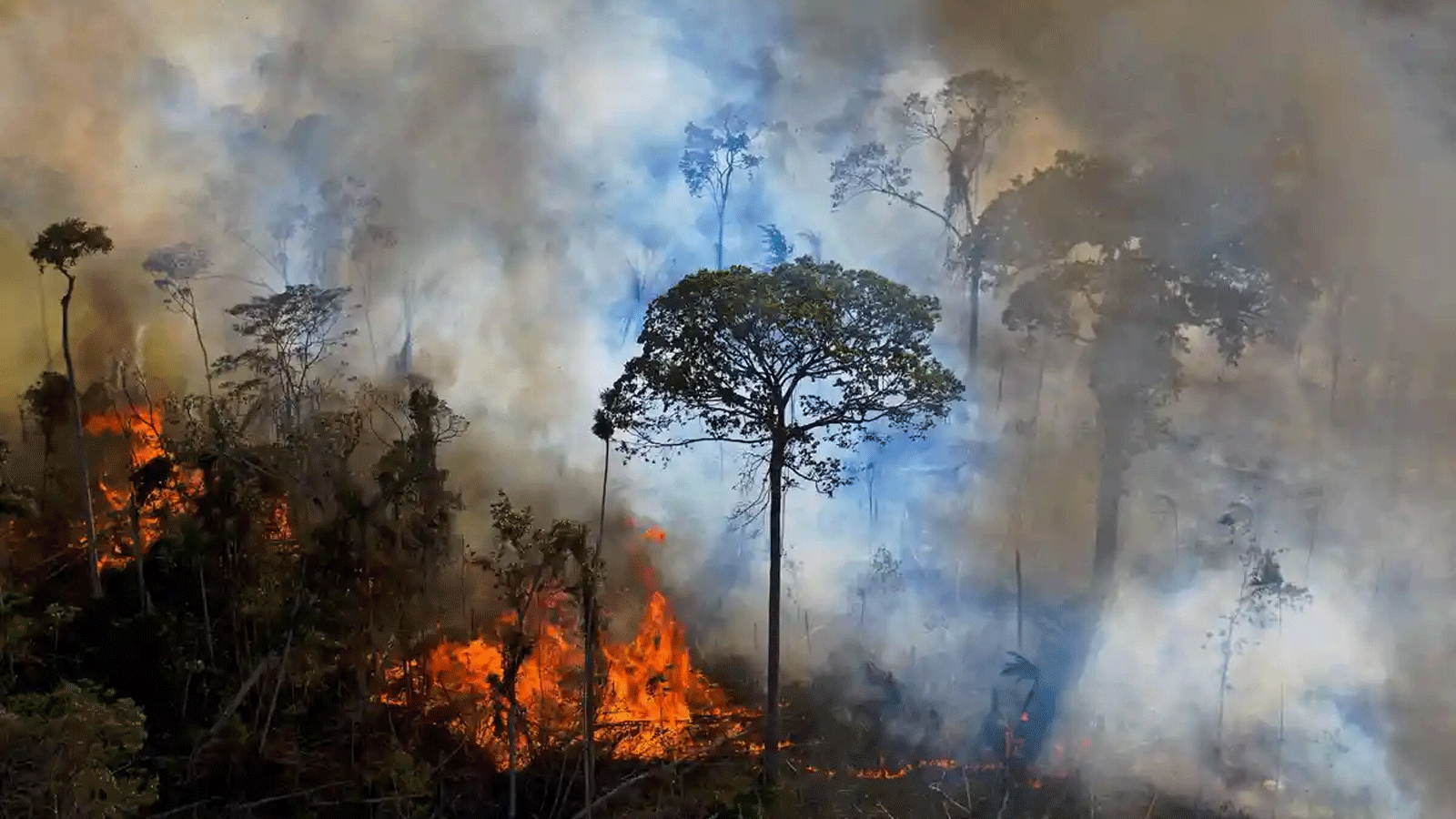 الدخان يتصاعد من حريق أُضرِمَ بشكلٍ غير قانوني في محمية غابات مطيرة جنوب نوفو بروغرسو في ولاية بارا، البرازيل.