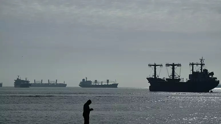 سفن شحن أوكرانية تنتظر تحميل القمح قبل المغادرة