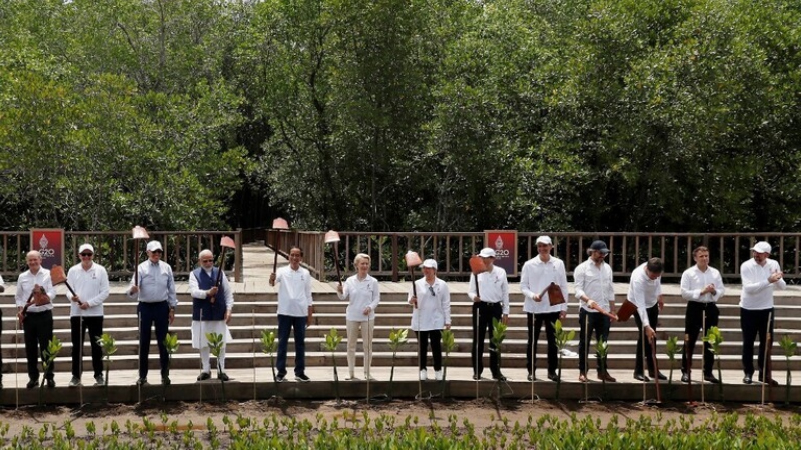 رؤساء الدول والوفود المشاركة في قمة العشرين يزرعون الأشجار في جزيرة بالي الإندونيسية