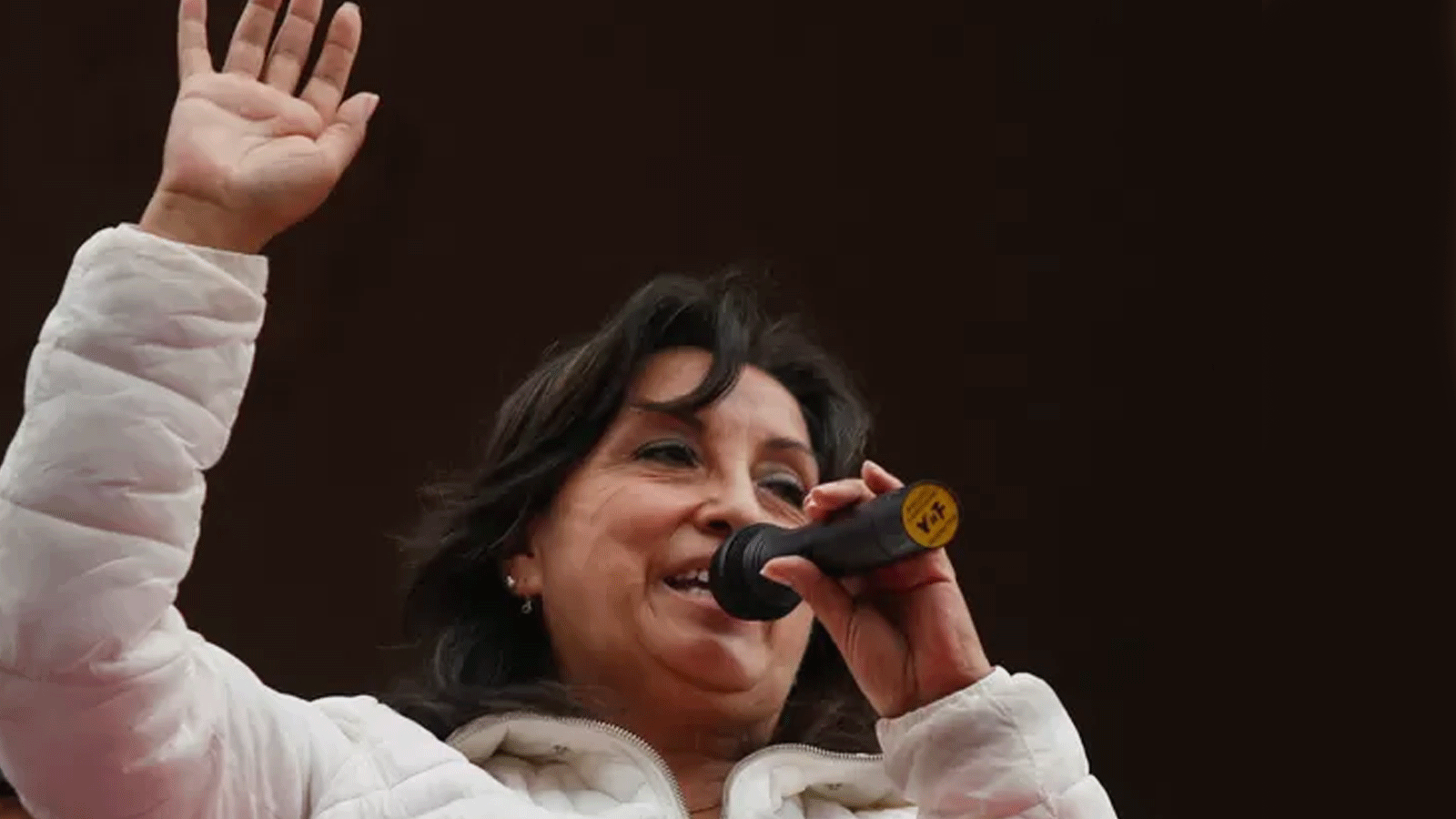  رئيسة البيرو الجديدة دينا بولوارتي