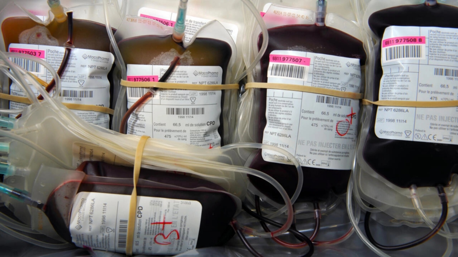 تقول السلطات الصحية إنه لا يوجد خطر إضافي من استخدام الدم المتبرع به من قبل الأشخاص الذين تم تطعيمهم ضد كوفيد