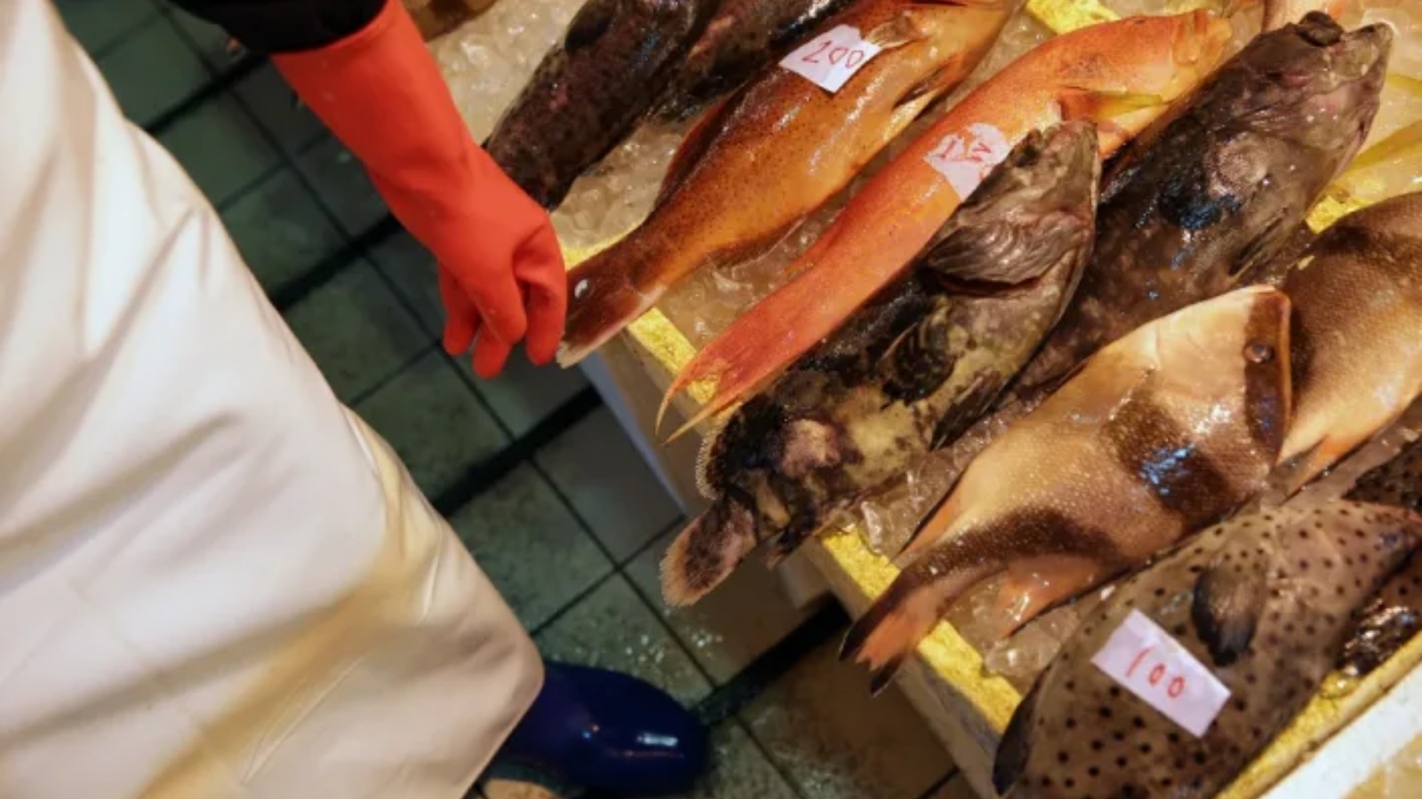 بعض أنواع الأسماك قد ترفع مستويات ضغط الدم