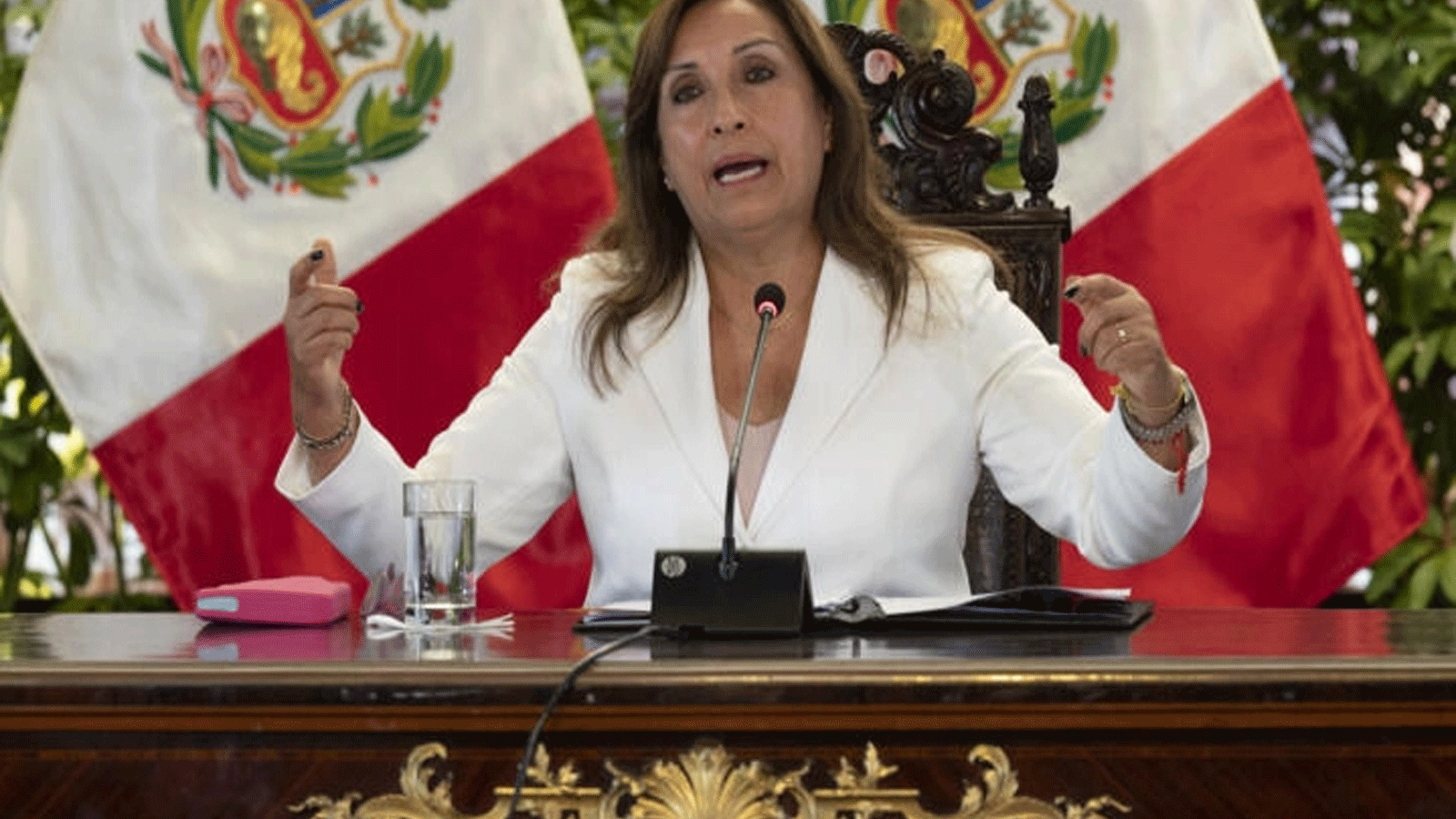 دينا بولوارتي الرئيسة التي استلمت الحكم بدلاً من كاستيو في البيرو
