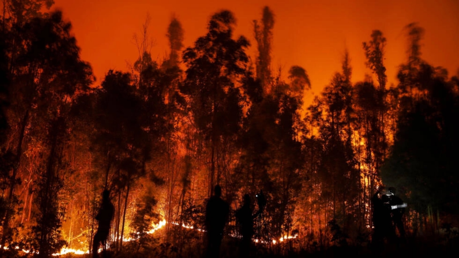 حريق غابات قوي في منطقة أراوكانيا في تشيلي، في 4 فبراير 2023