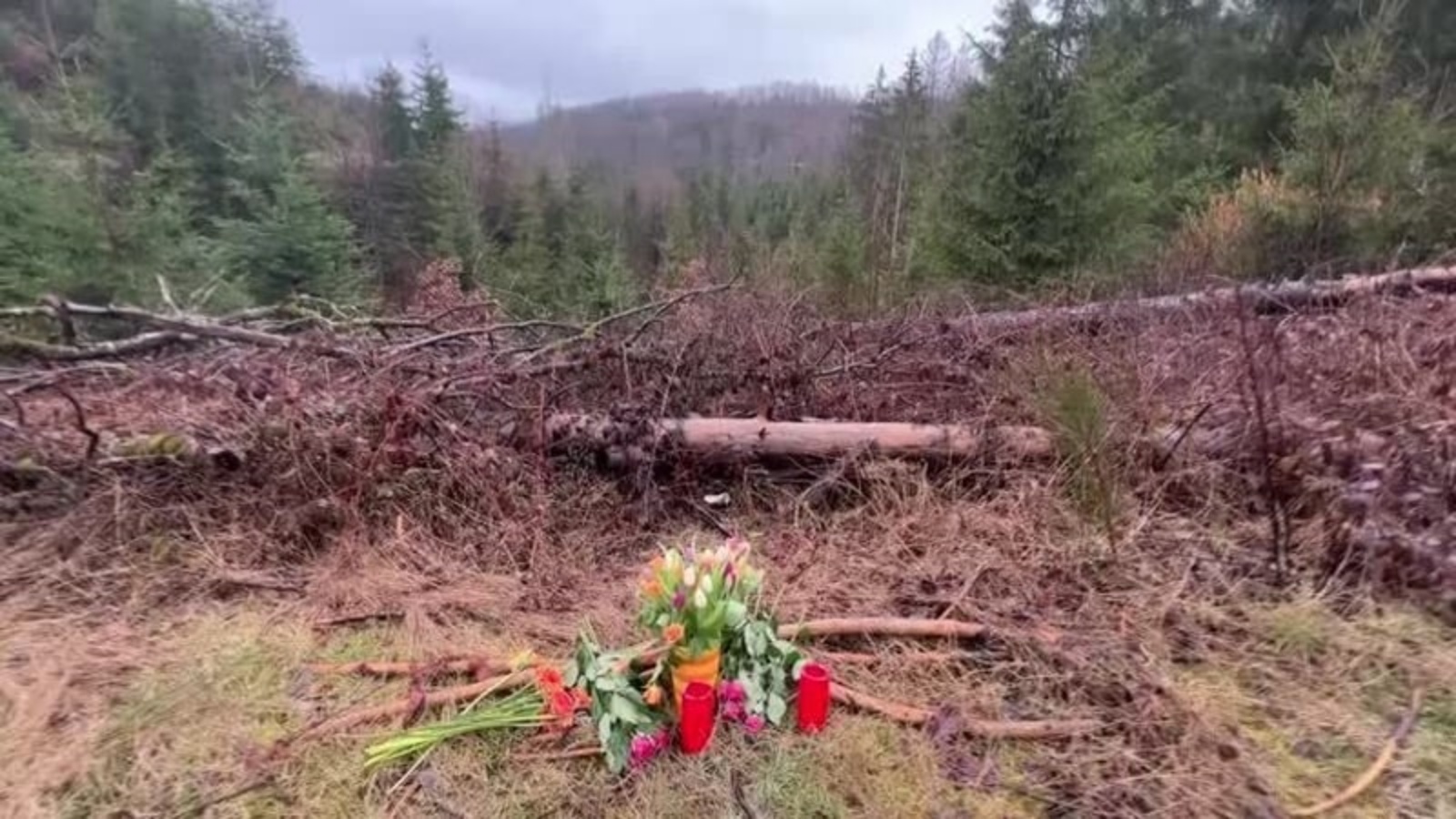 زهور والشموع بالقرب من منطقة الغابات حيث عُثر على جثة لويز