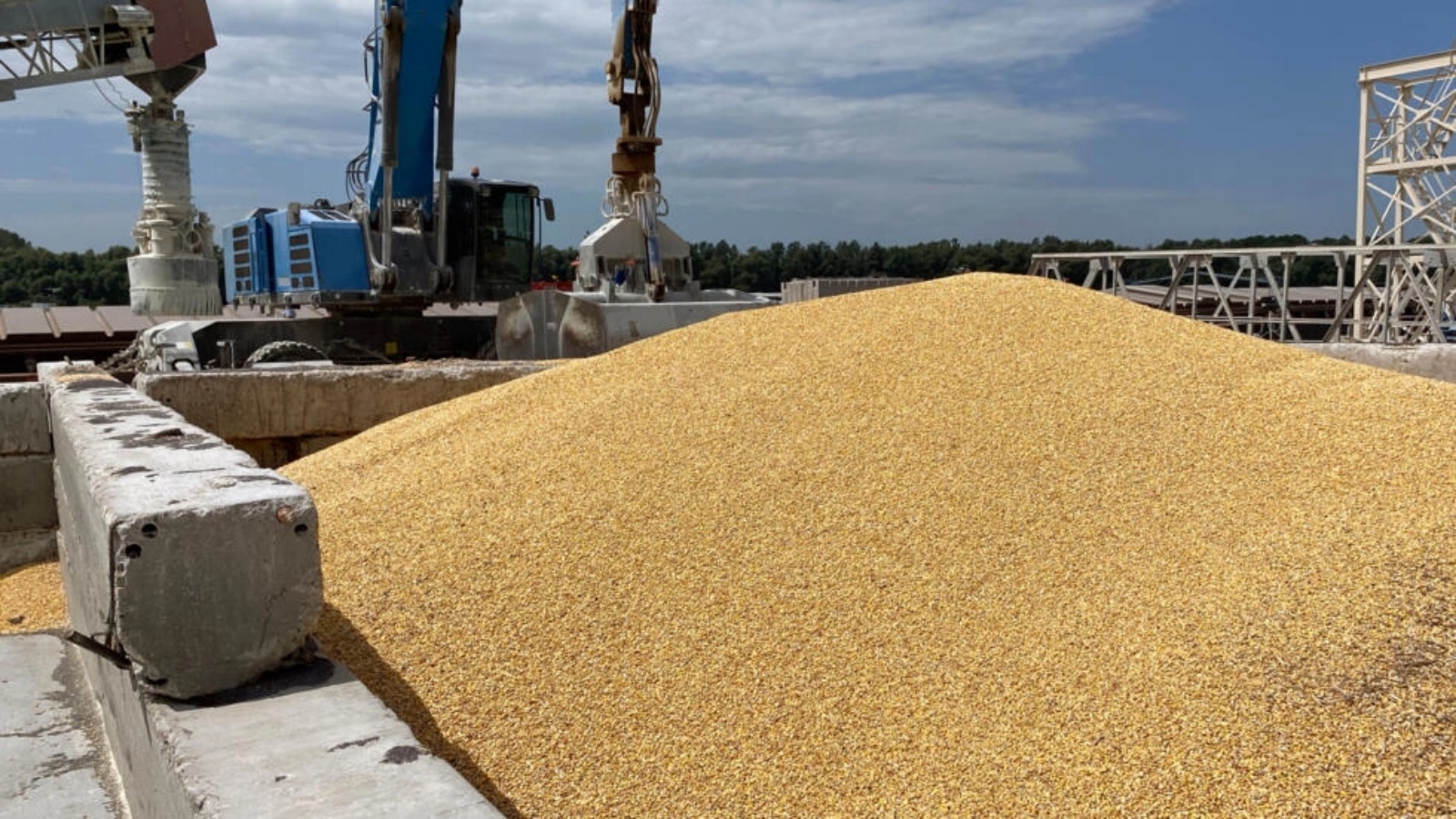 حبوب الذرة على الرصيف في ميناء في منطقة أوديسا، في 22 يوليو 2023 