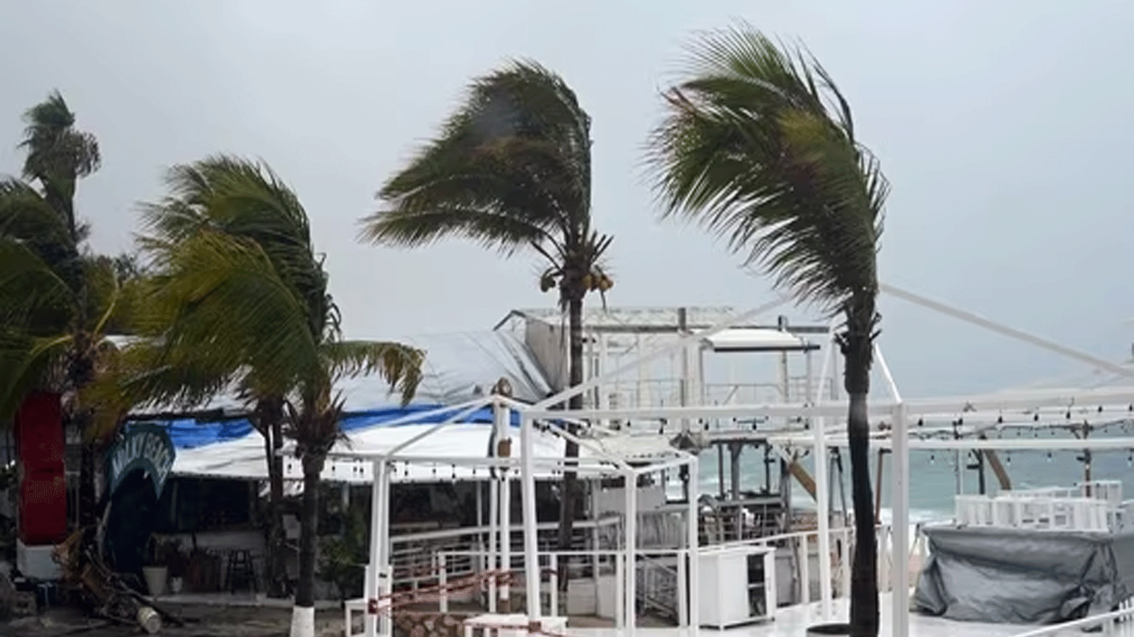 الرياح تهب على أشجار النخيل على شاطئ ميدانو قبل وصول الإعصار هيلاري إلى منتجع لوس كابوس في ولاية باجا كاليفورنيا، المكسيك