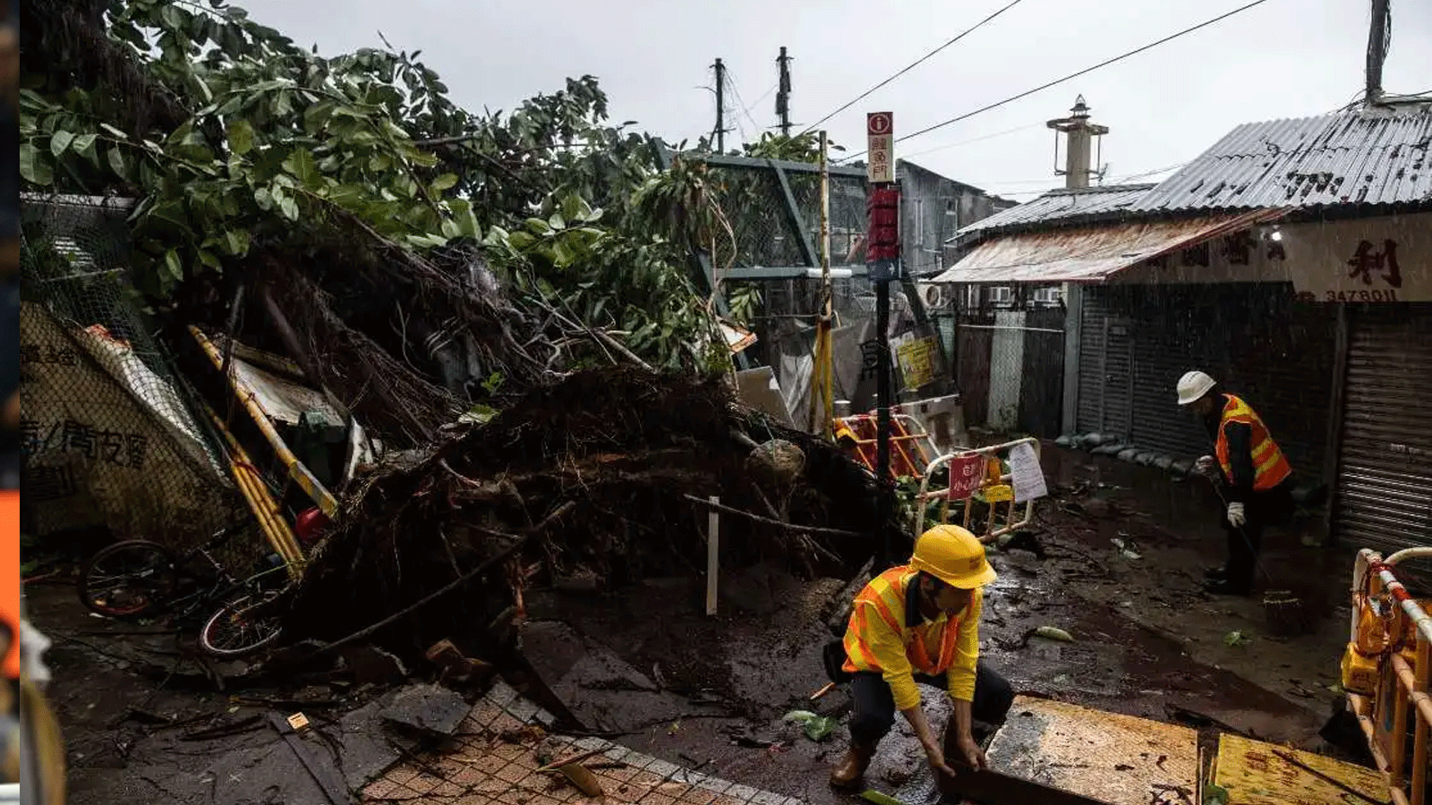 عمال يقومون بالتنظيف حول شجرة سقطت بسبب إعصار ساولا في قرية في لي يو مون في هونغ كونغ في 2 سبتمبر\ ايلول 2023