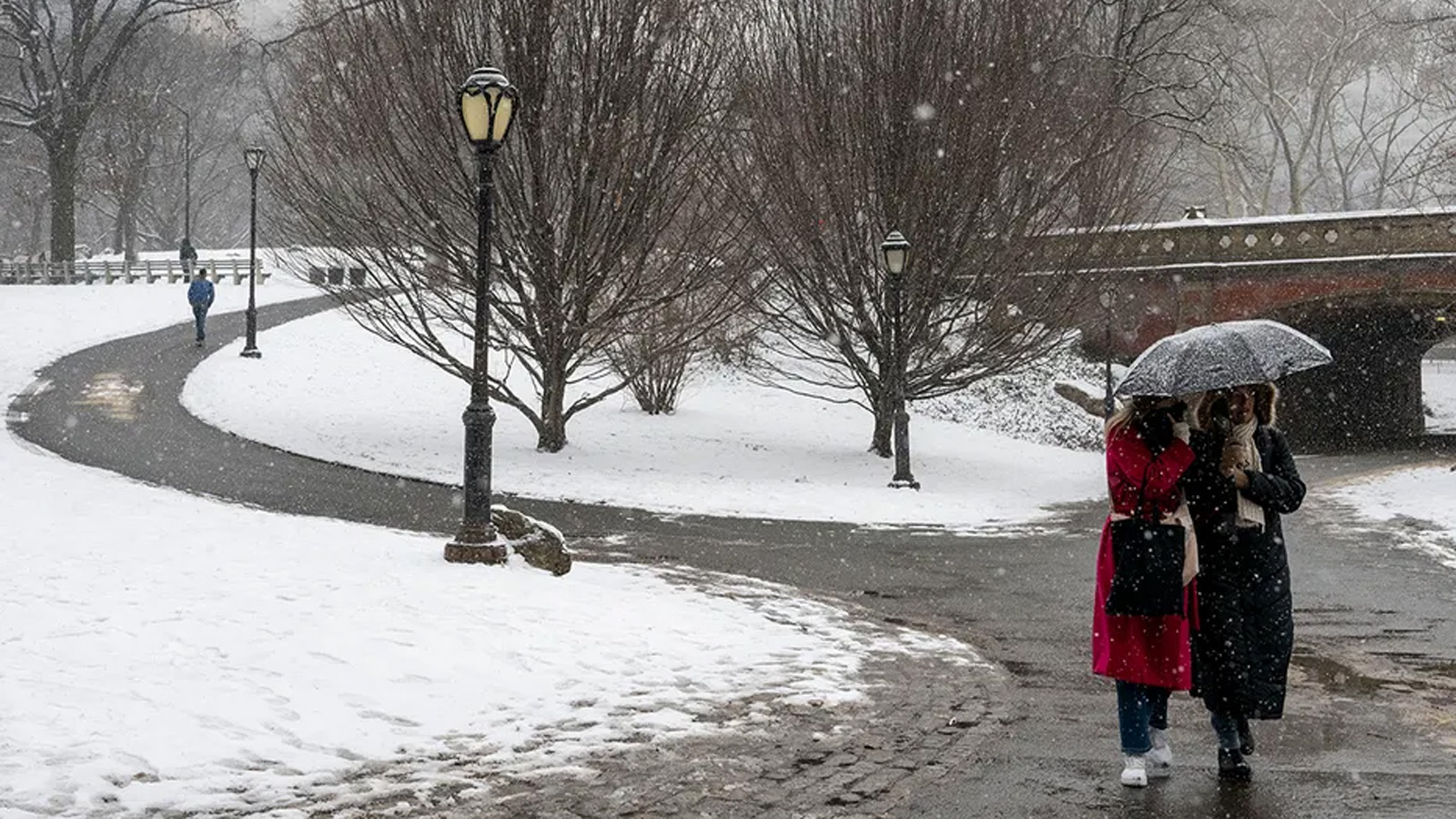 أشخاص يسيرون في سنترال بارك في نيويورك مع تساقط الثلوج خلال عاصفة شتوية في 19 مانون الثاني (يناير) 2024.