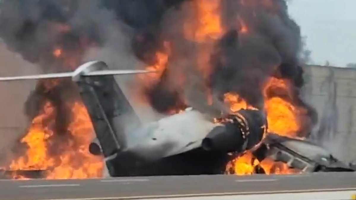 اشتعلت الطائرة فور سقوطها في ولاية فلوريدا 10 فبراير