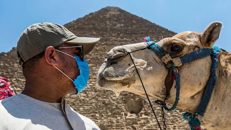 مصر لديها برنامج ترصد وتقصي للأمراض الوبائية للرصد المبكر لأية أوبئة