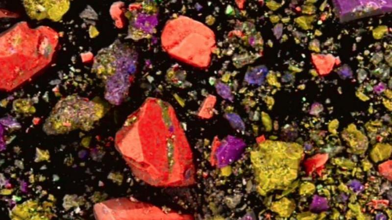 UNIVERSITY OF PADUA/ISMEO, ROME محتويات عبوة أحمر الشفاه كما تظهر تحت المجهر