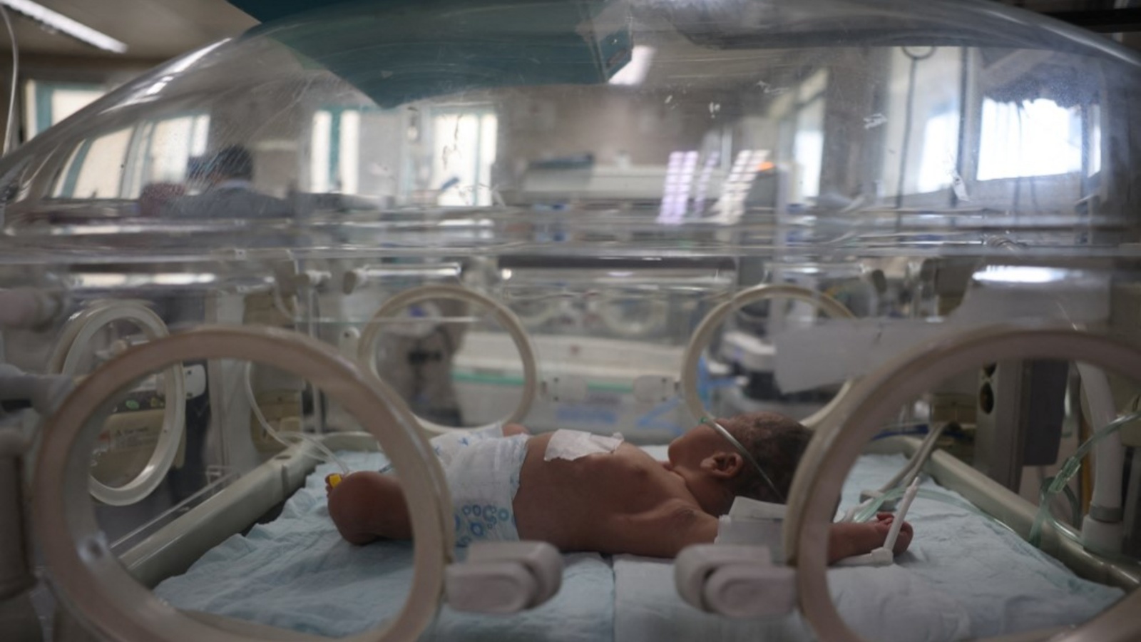 لا رعاية طبية متوفرة لحديثي الولادة في غزة بسبب نقص الإمدادات. أرشيفية