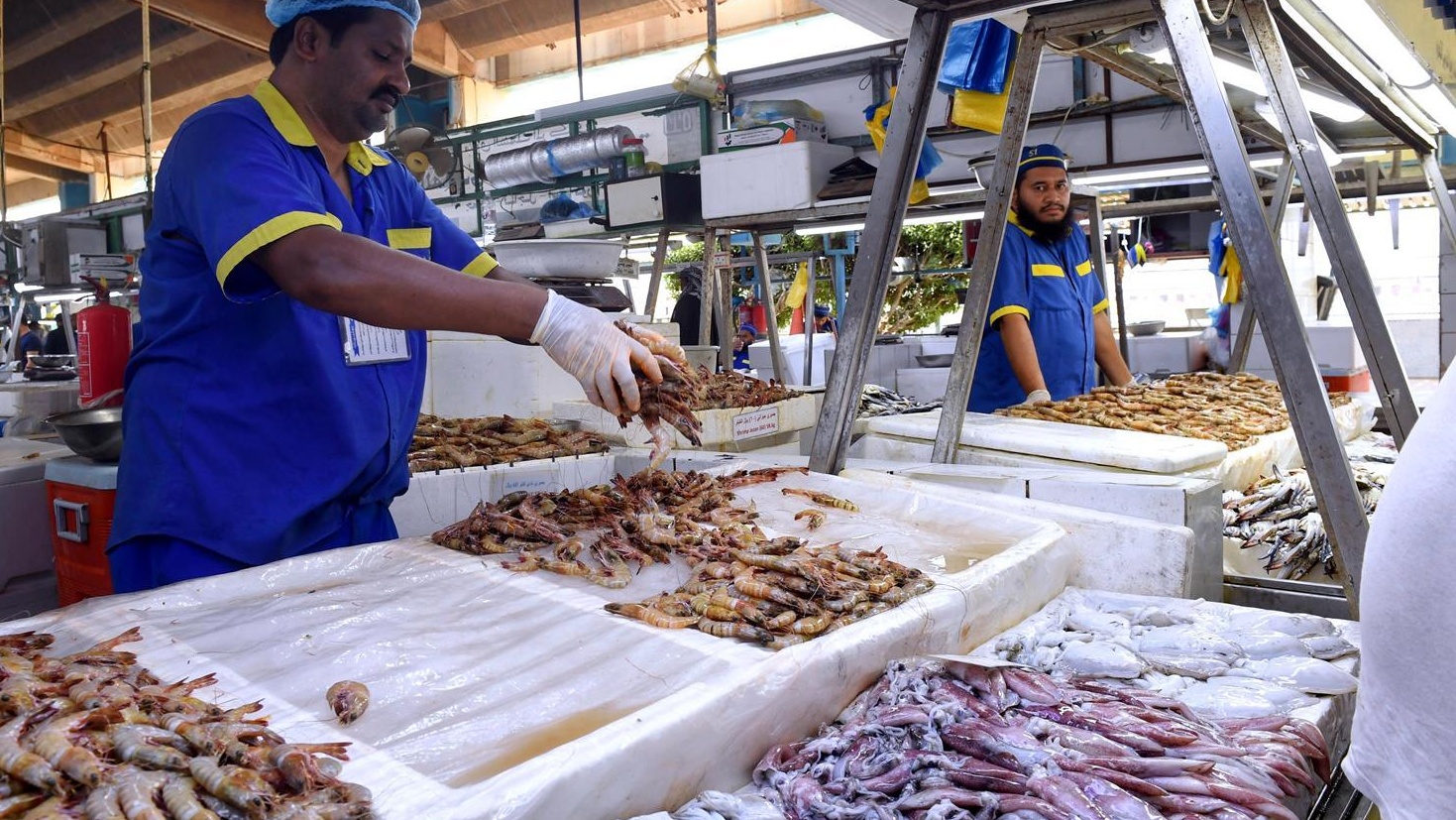 سوق الأسماك في جدة.. وجهة الباحثين عن الوجبة الجداوية المفضلة