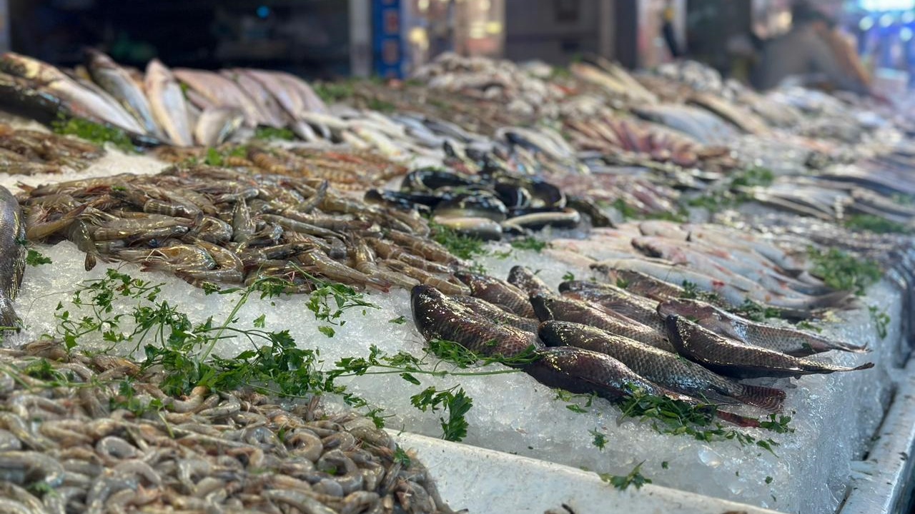 انخفاض كبير في أسعار الأسماك في مصر بعد نجاح حملة المقاطعة