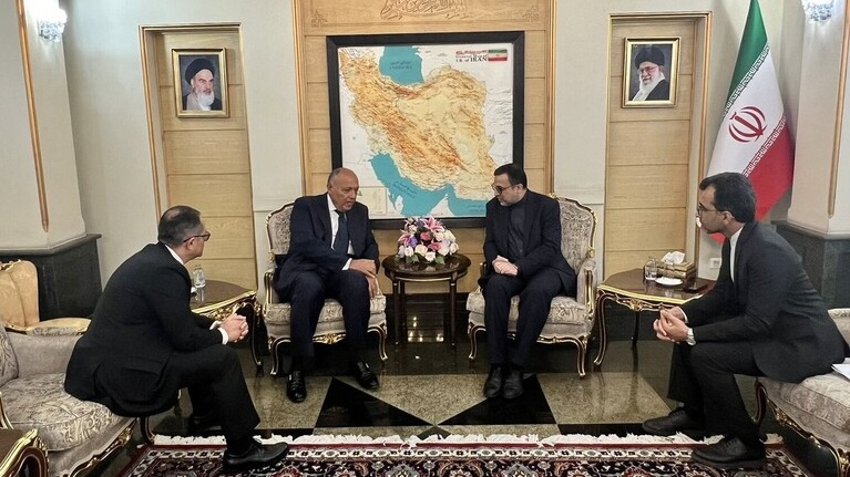 وزير الخارجية المصري سامح شكري في طهران