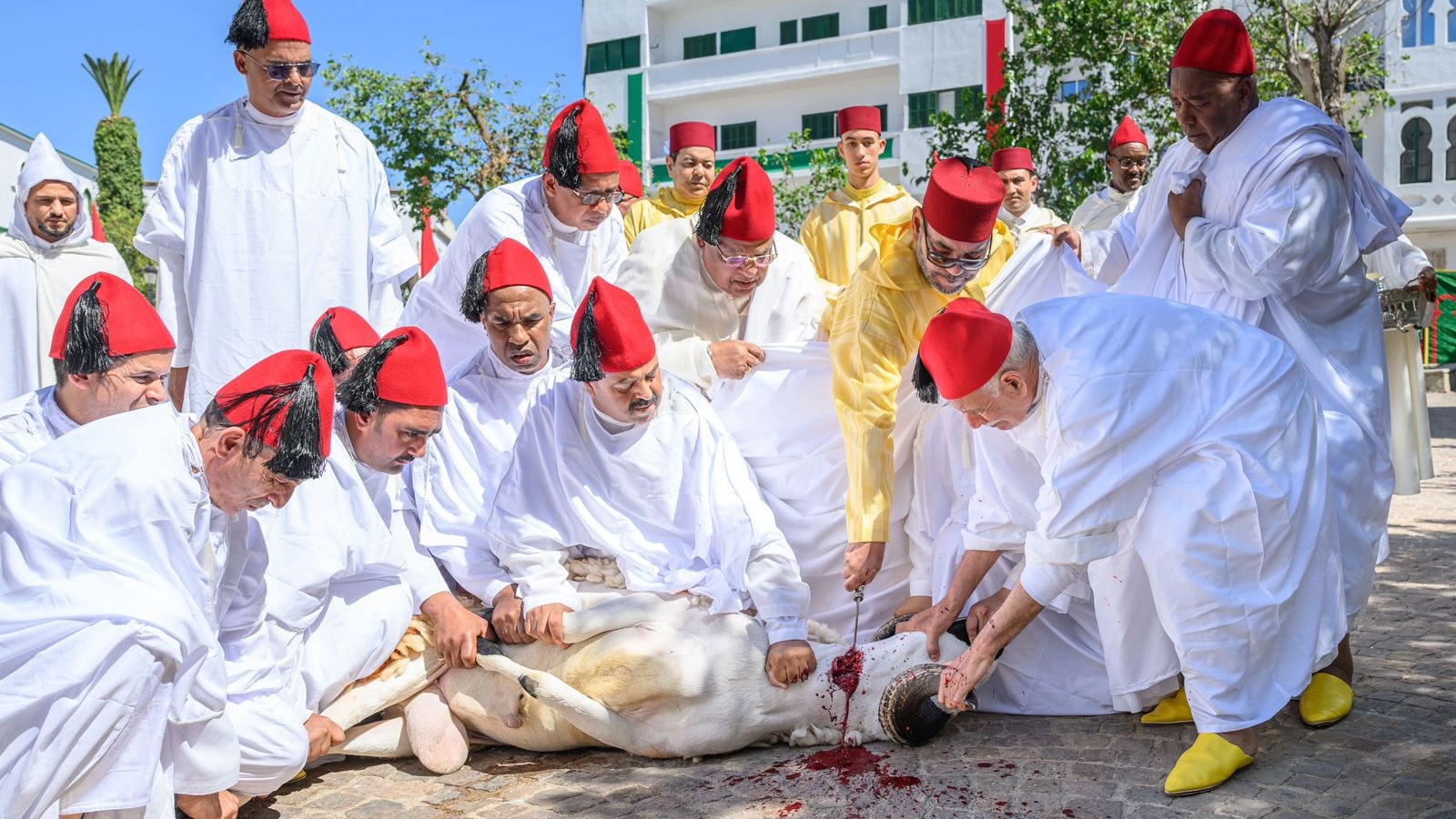 العاهل المغربي ينحر أضحية العيد في تطوان