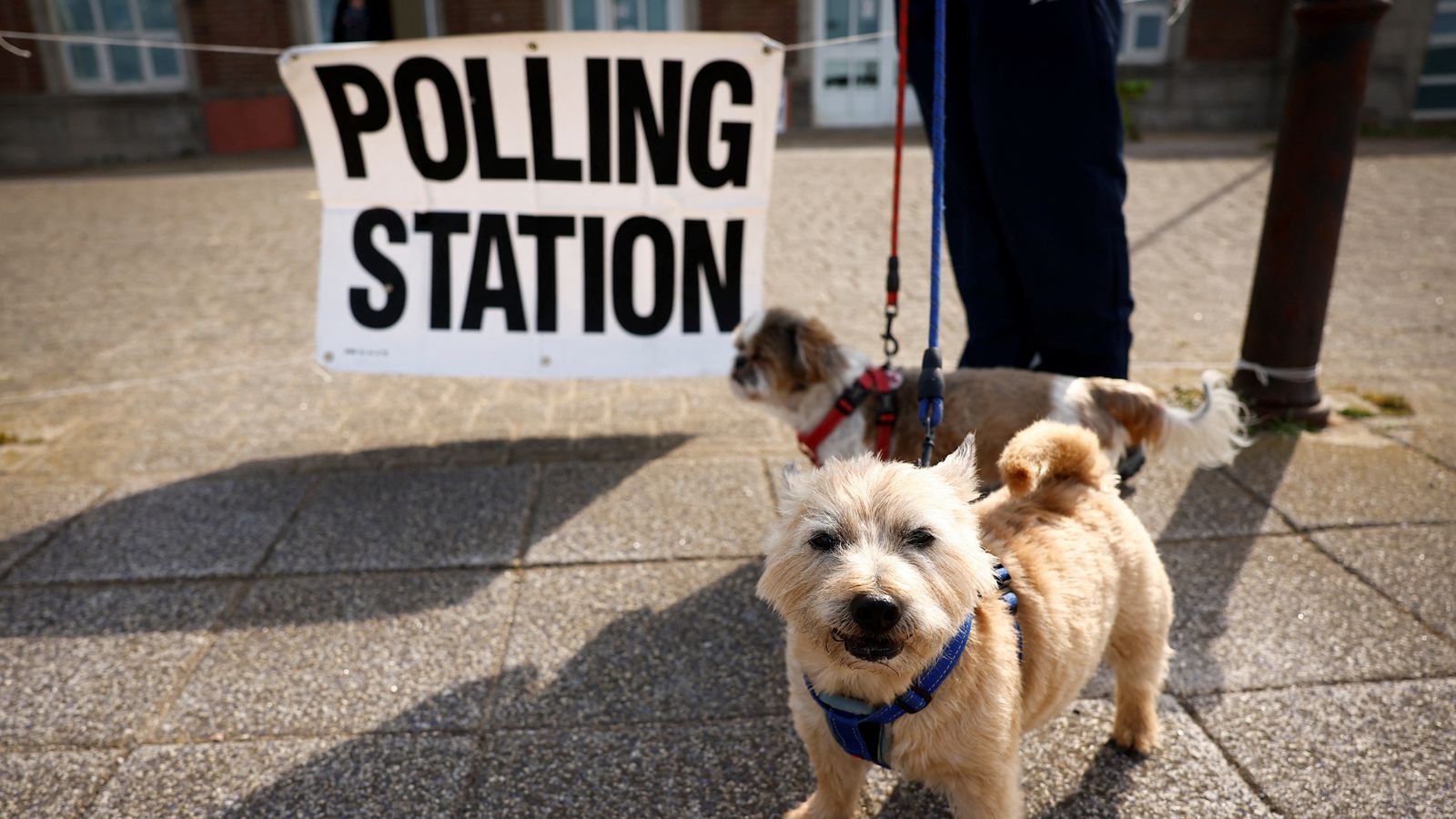هل الكلاب مسموح لها دخول مراكز الاقتراع في الانتخابت البريطانية كيف ولماذا؟