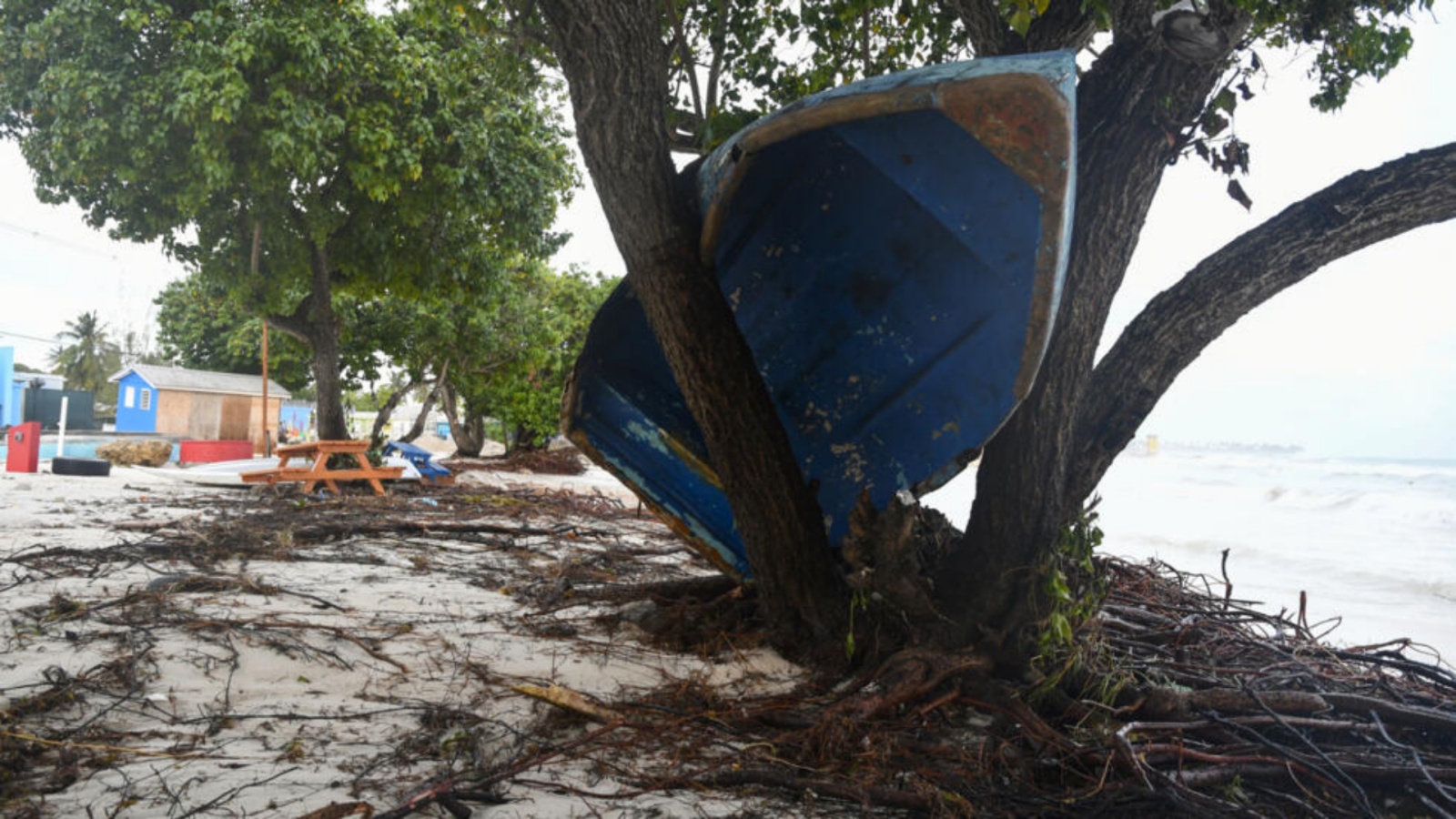 قارب علق في شجرة بعد مرور الإعصار بيريل في كرايست تشرتش في باربادوس، في الأول من تموز/يوليو 2024 قارب علق في شجرة بعد مرور الإعصار بيريل في كرايست تشرتش في باربادوس، في الأول من تموز (يوليو) 2024 