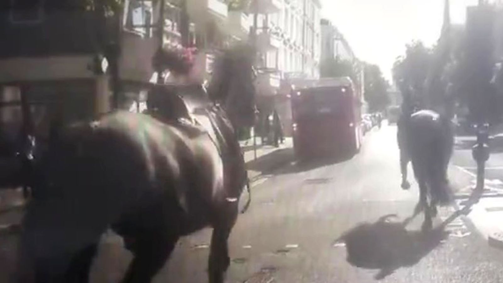 لقطة للخيول المنفلتة في العاصمة البريطانية صباح يوم الاثنين 