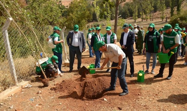 جهود حماية البيئة وتشجير الغابات
